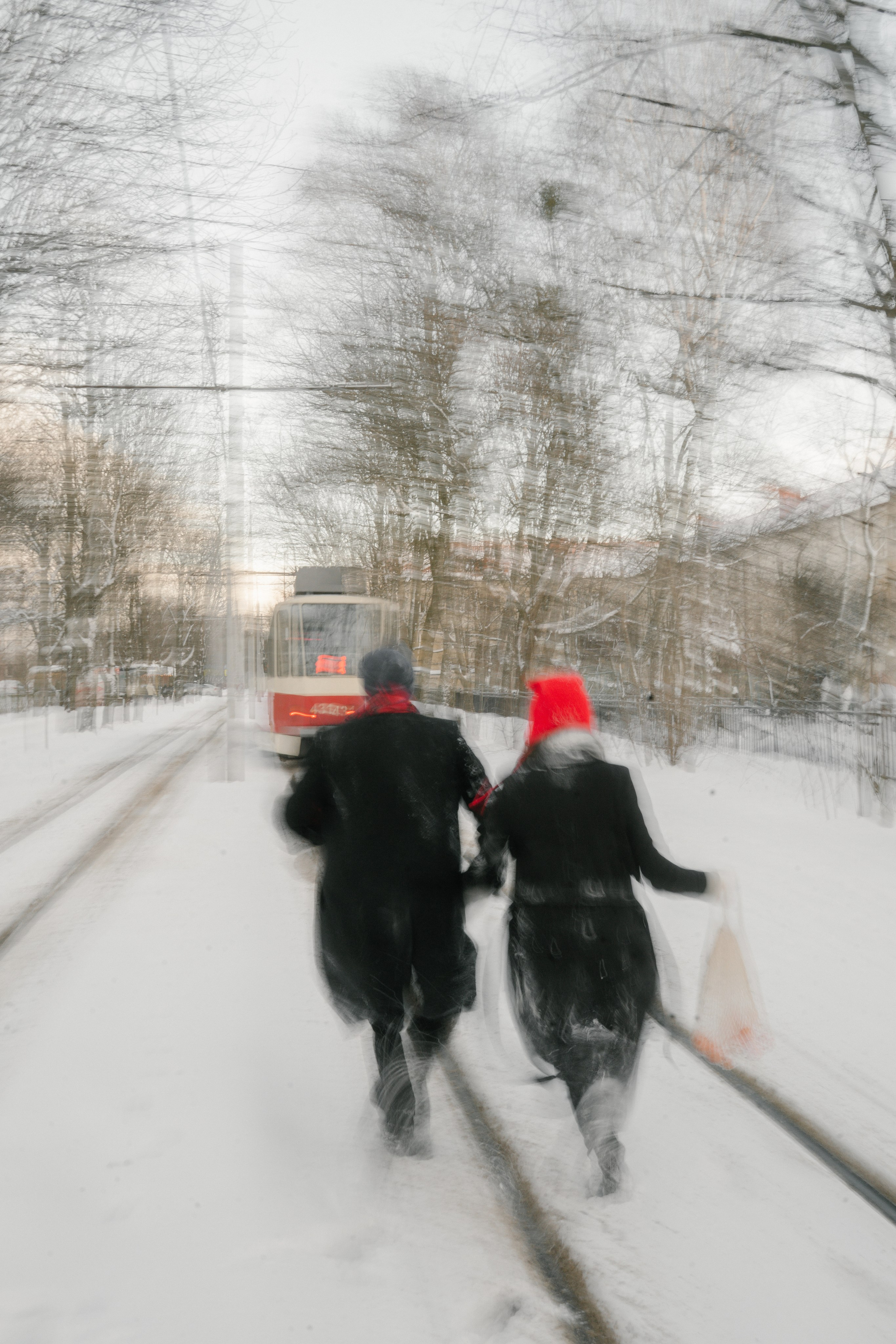 А & Y. Семейный и свадебный фотограф Мария Нетребко г. Калининград