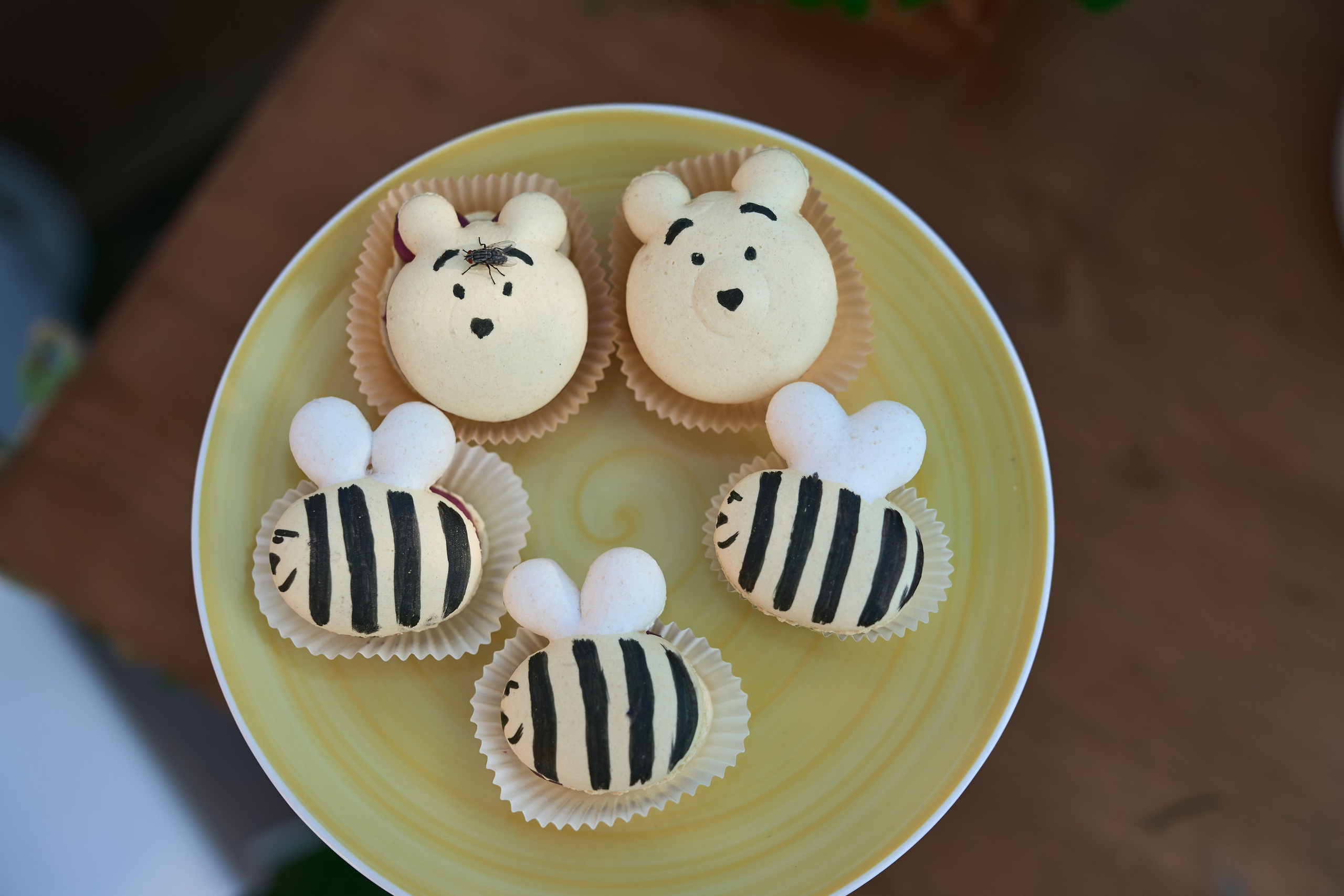 Детский ДР. Фотограф Олег Сотник