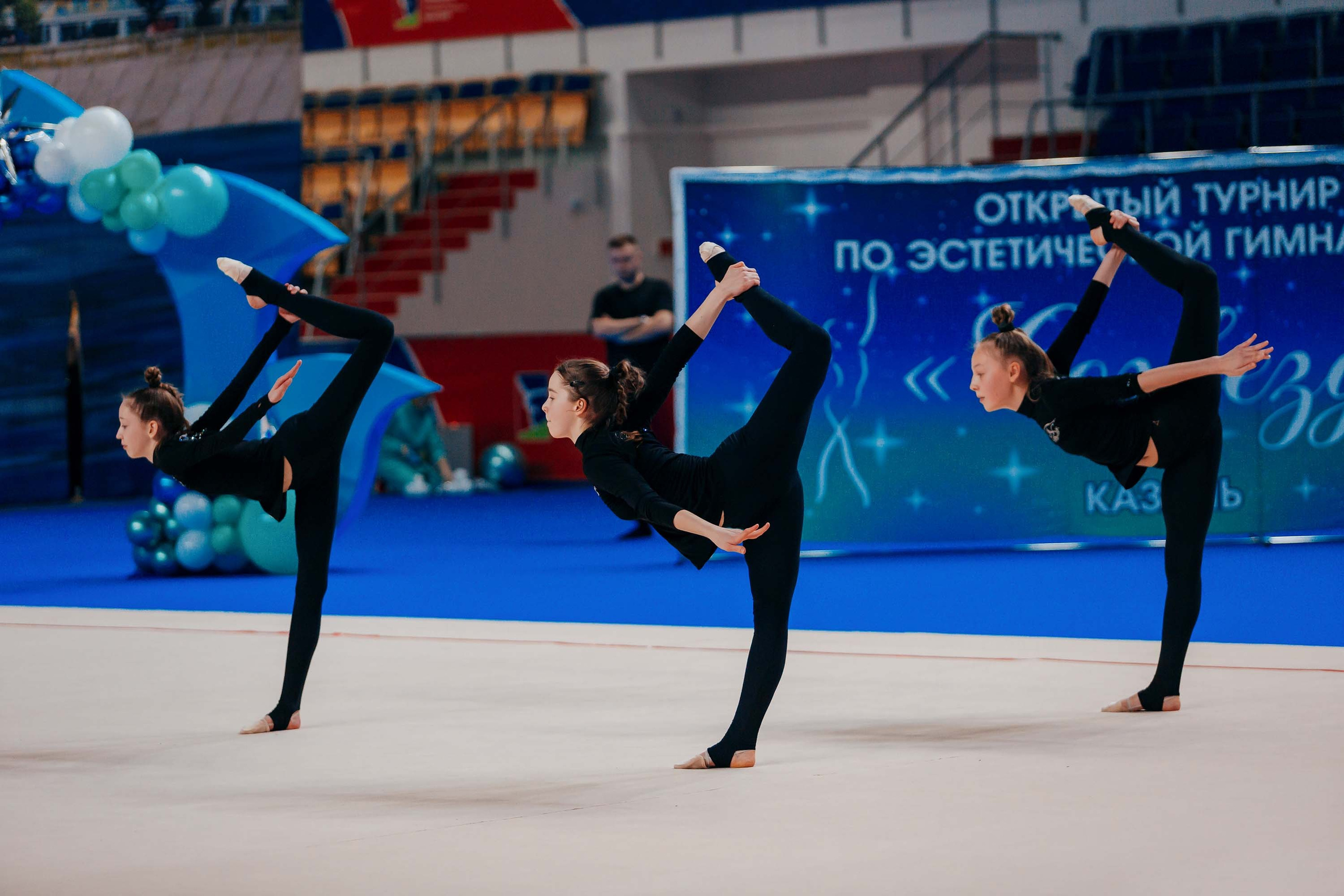 Кубок России по эстетической гимнастике. Спортивный фотограф Александр Васильев. RG и AGG