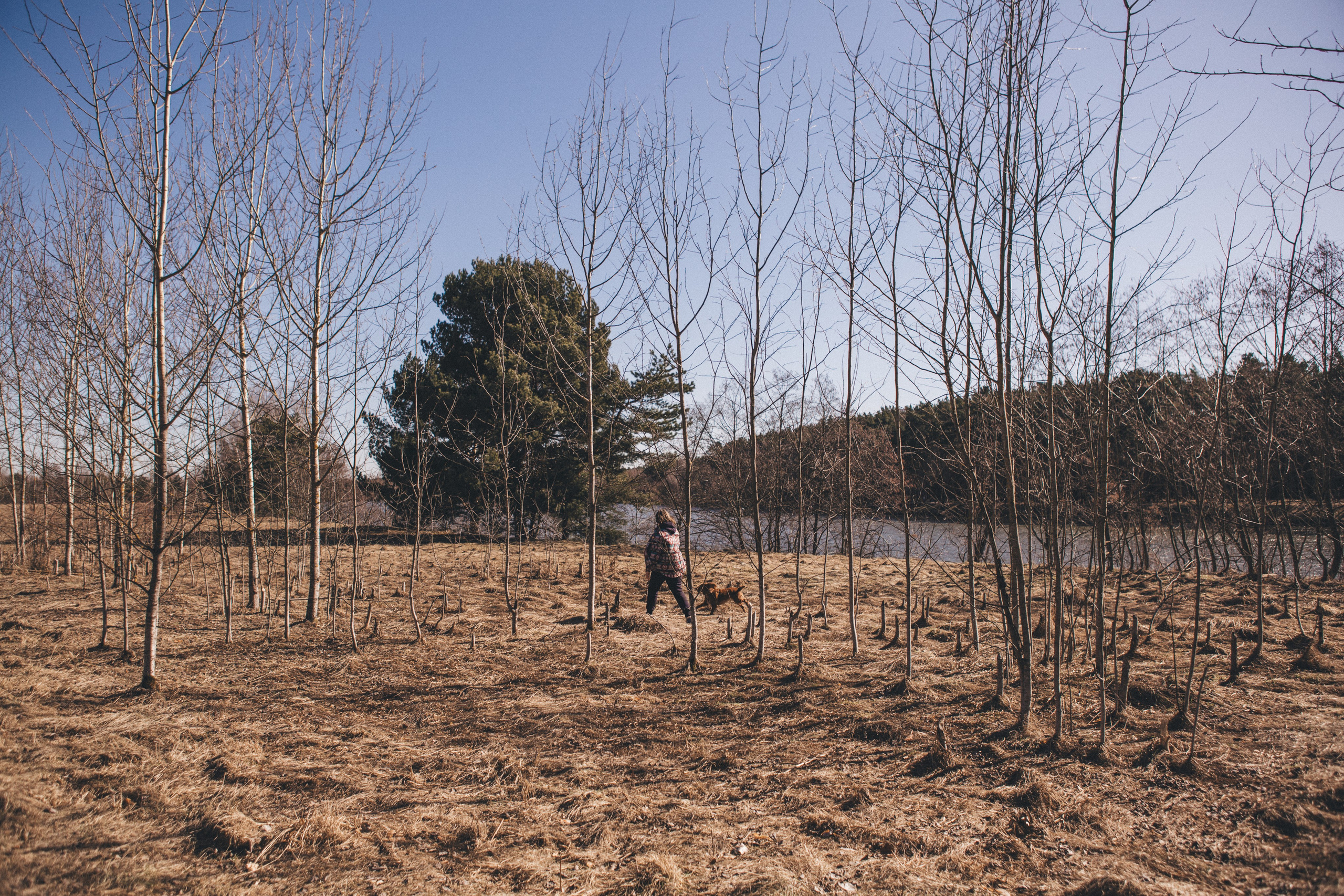 Julia & Jessie. Portrait, family and pet photographer in Cyprus, Ksenia Bourdelle