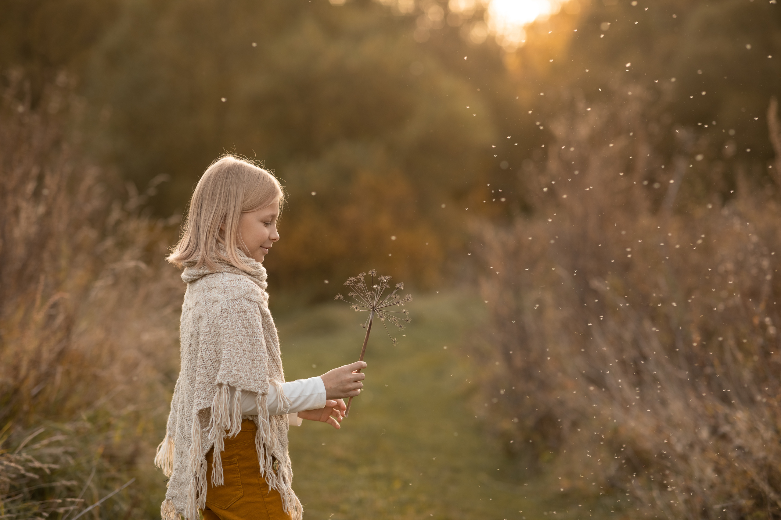 Фотопрогулка с лошадкой для Киры. Женский семейный фотограф Тула Москва Захарова Анна