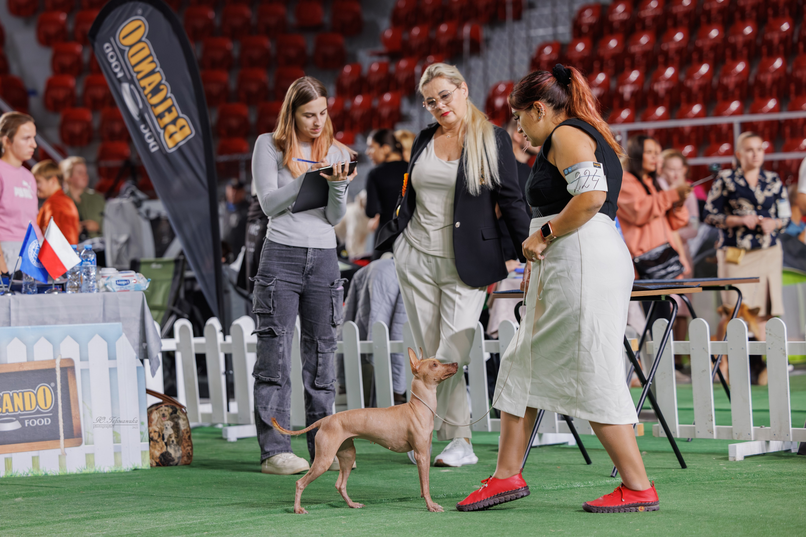 Телави 11-12.10.2025. Фотограф-анималист Юлия Германика