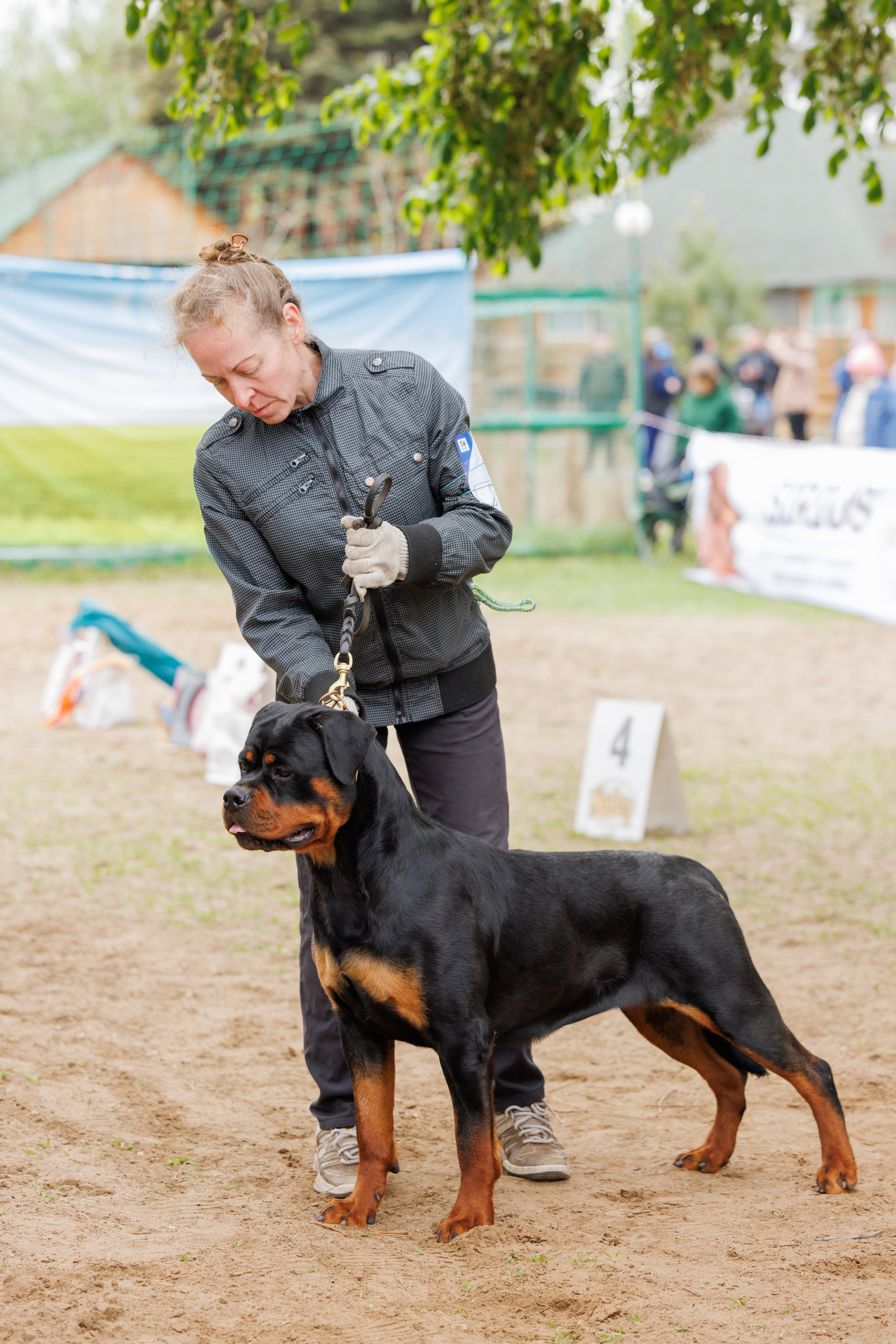 Саратов моно ротвейлеров 26-27.04.2025. Фотограф-анималист Юлия Германика