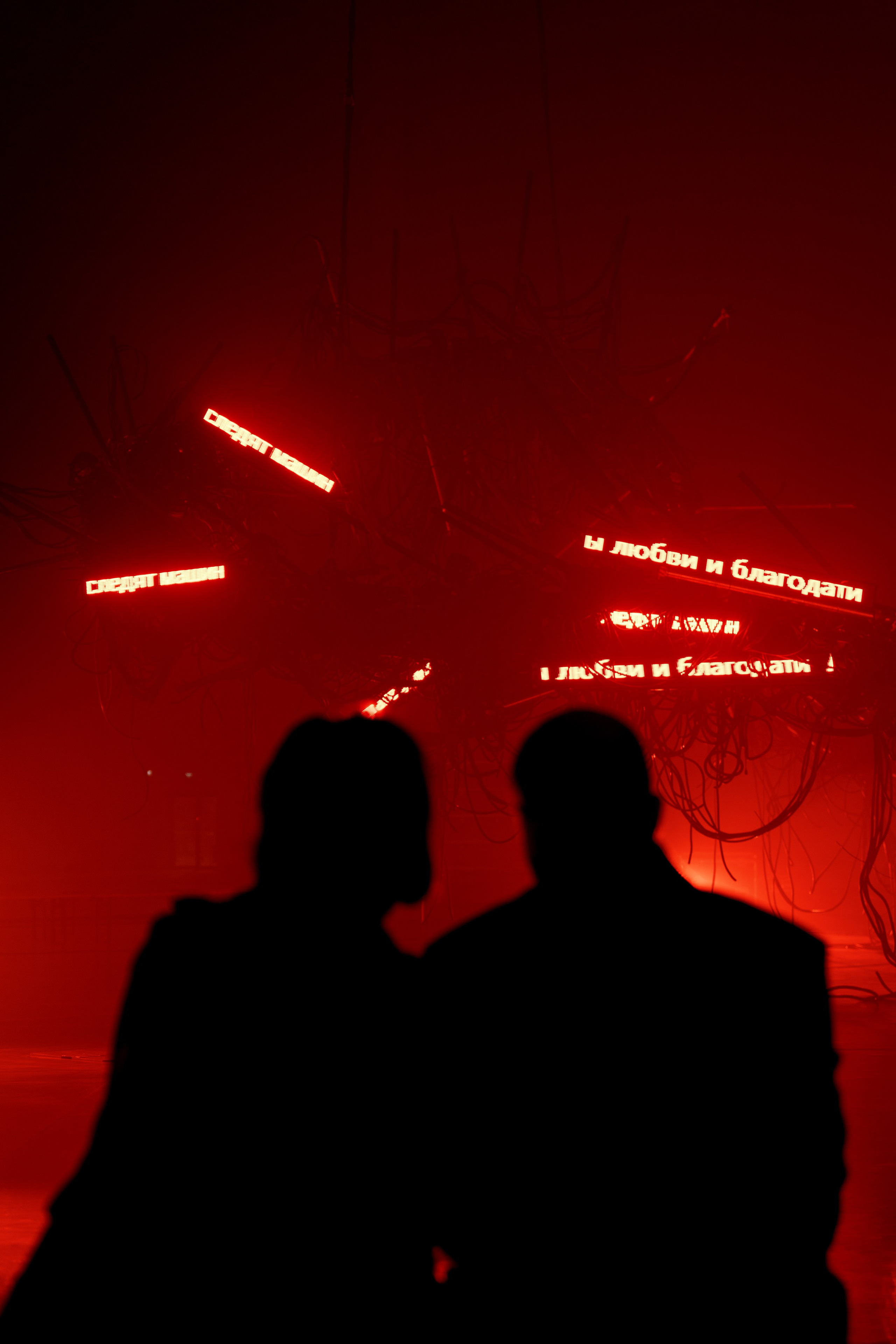 PERFORMA, The Hour of the Horse. @tomrus: Рустам Шагиморданов — фотограф