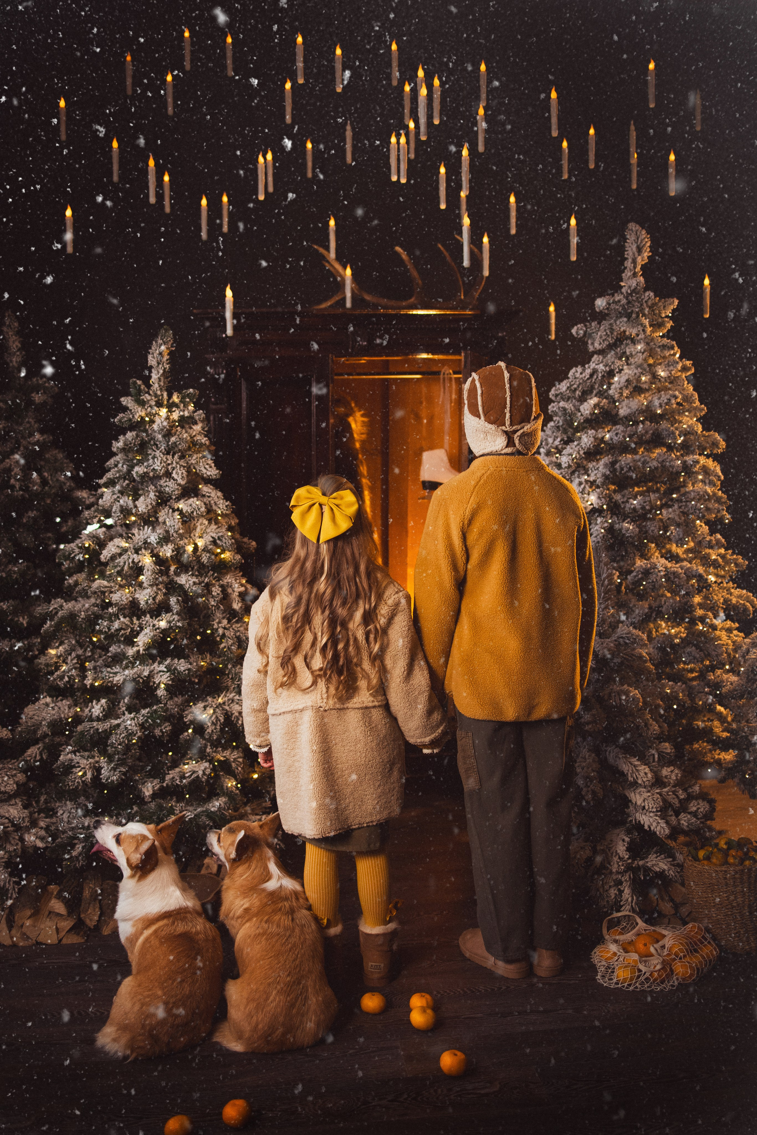 Фотосессия с собачками Корги в зимних декорациях фотостудии «Майя», город Краснодар. Семейный и детский фотограф в Краснодаре Анна Трашкова