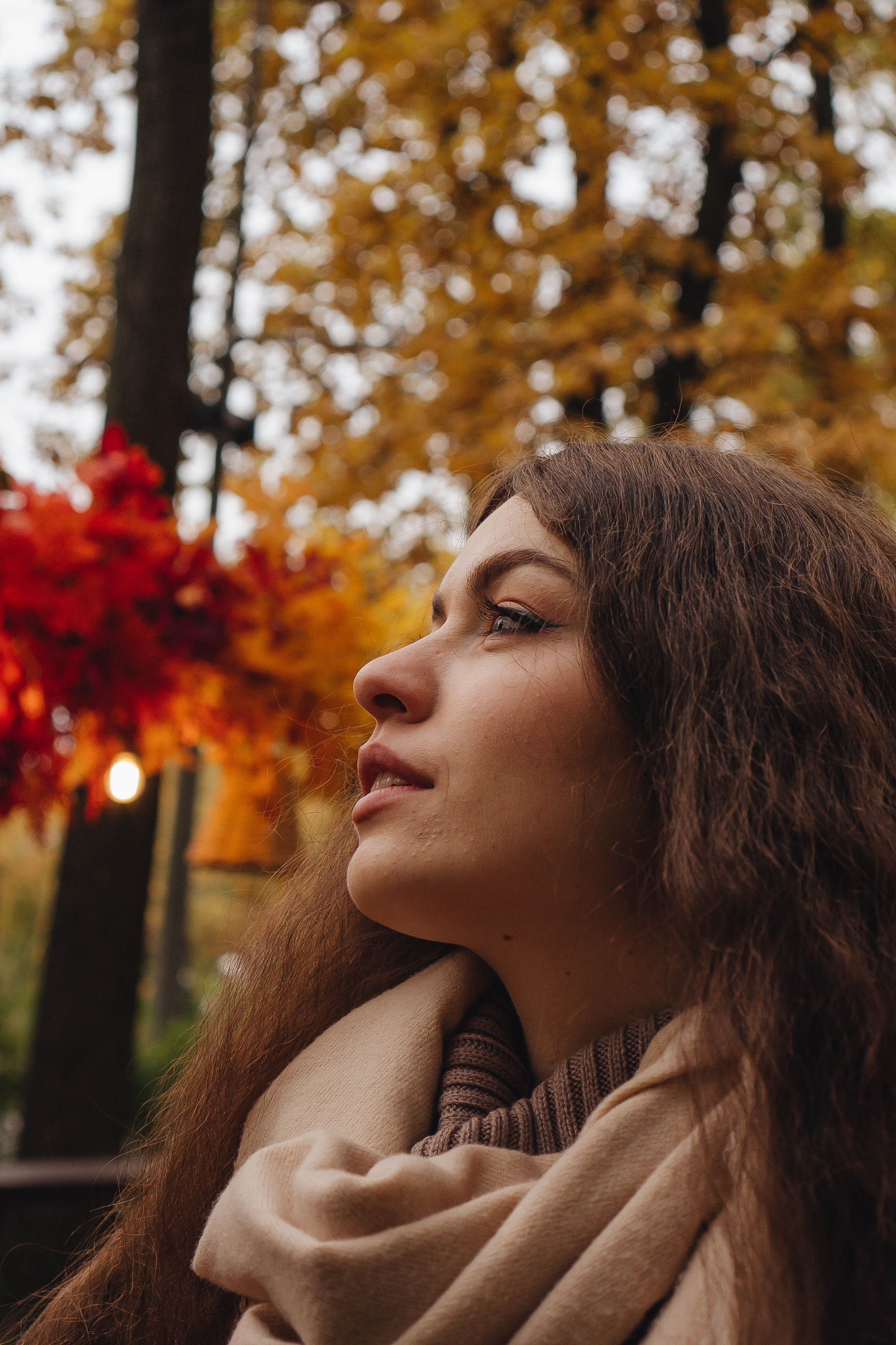 Осень. Профессиональный фотограф, Санкт-Петербург — Виктория Богомолова