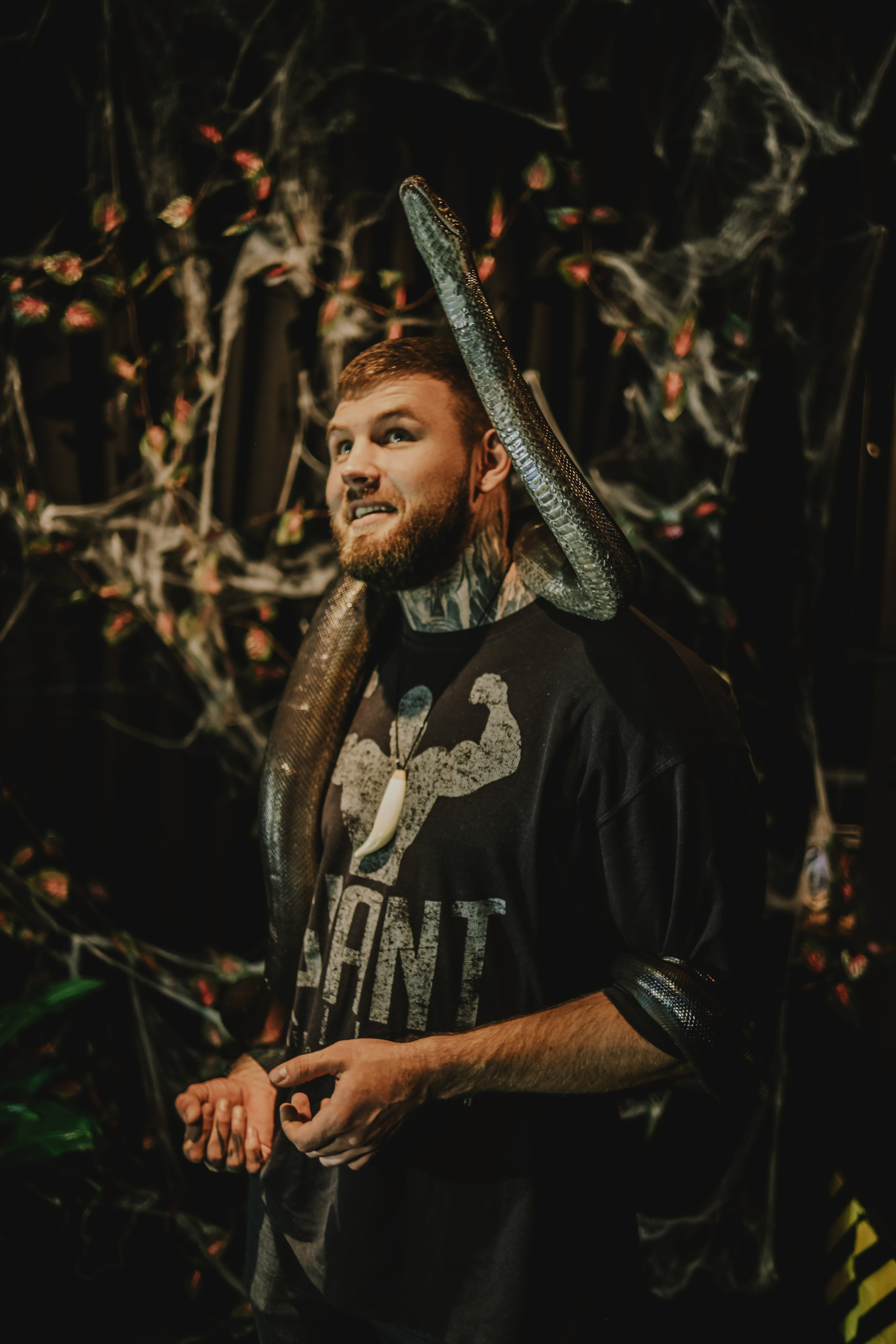 Дом Драконов. Nattie.ph