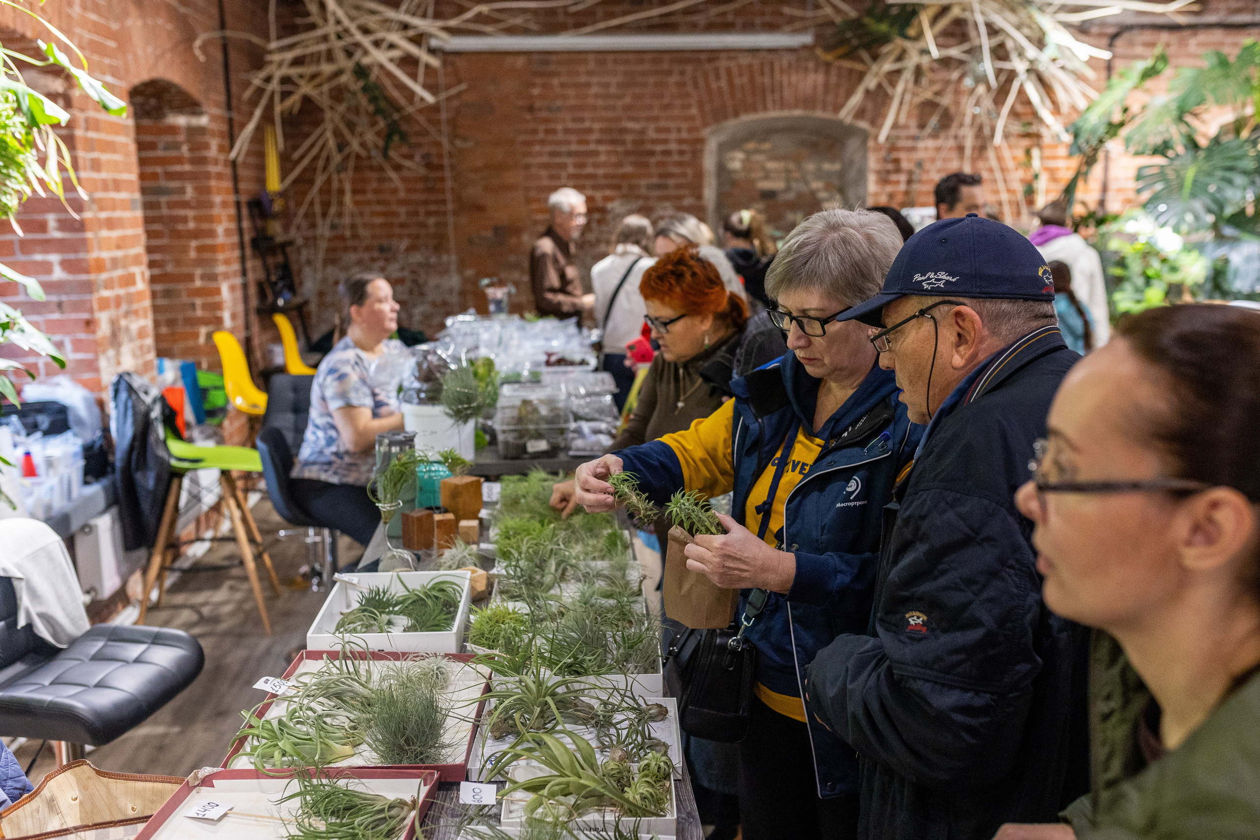 GreenRare ярмарка 2024. Александра Куликова фотограф, Москва