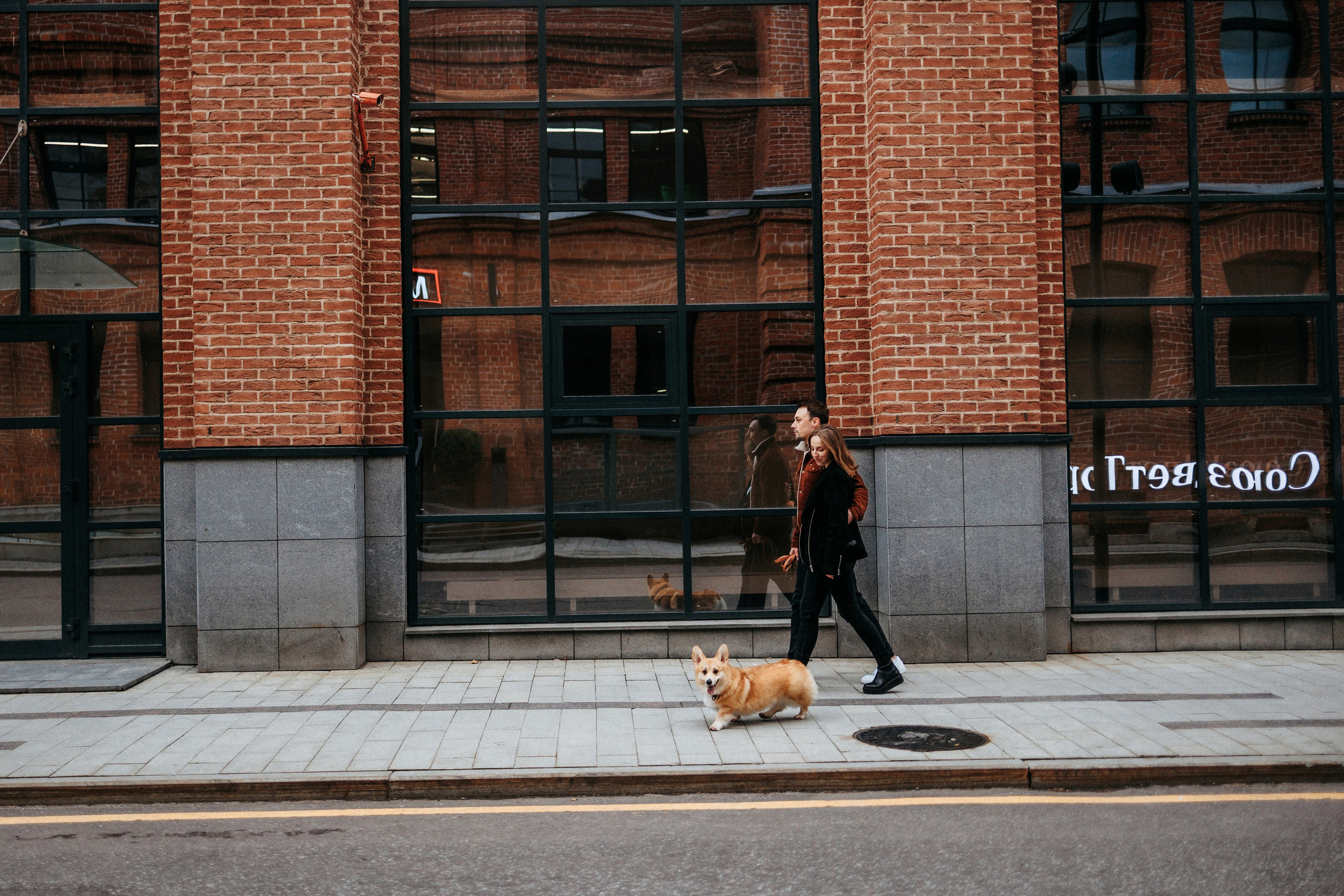 Вера, Саша и Муна. Фотограф-анималист Елена Радченко, Москва
