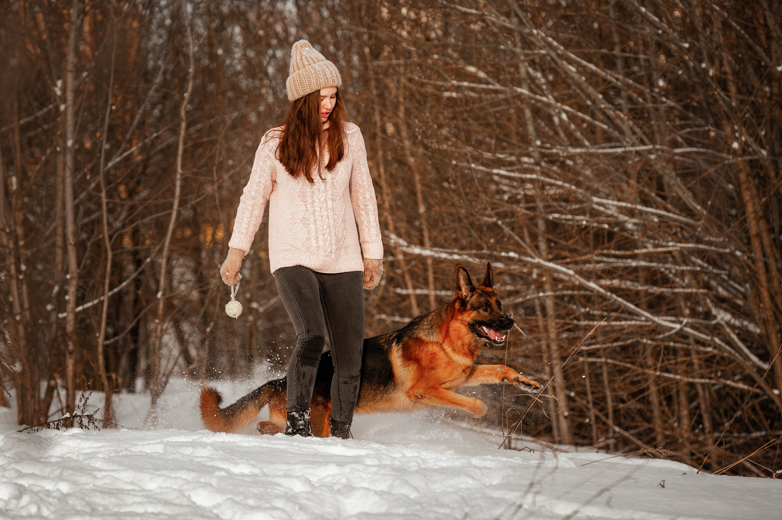 Вольт. Фотограф-анималист