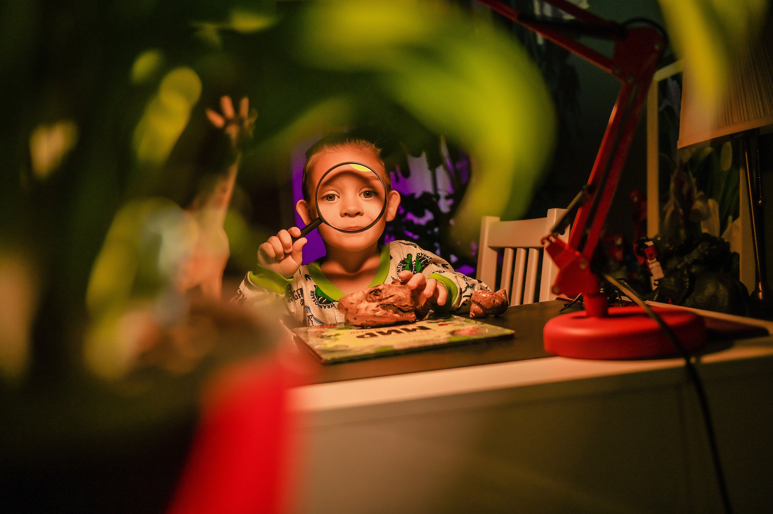 Детская домашняя кабинет натуралиста. Свадебный, семейный, детский, контент фотограф в Омске Максим Ильин