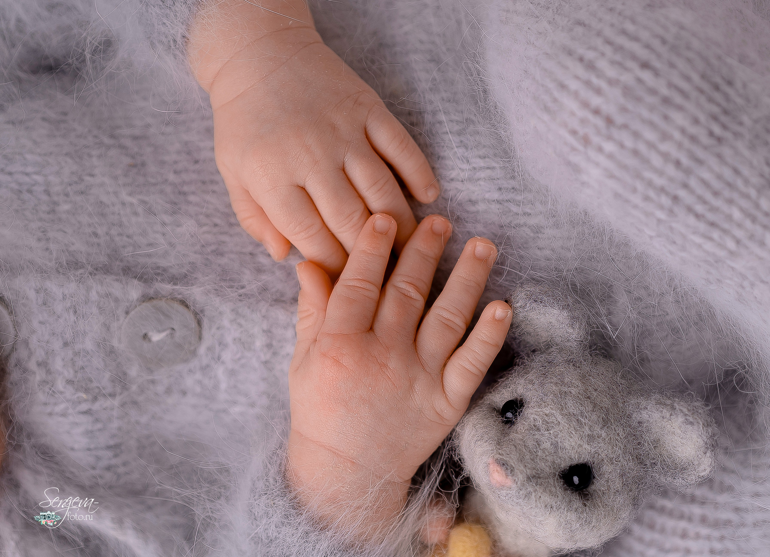 Тимур 25 дней. Фотограф новорожденных в Нижнем Новгороде Сергеева Оксана