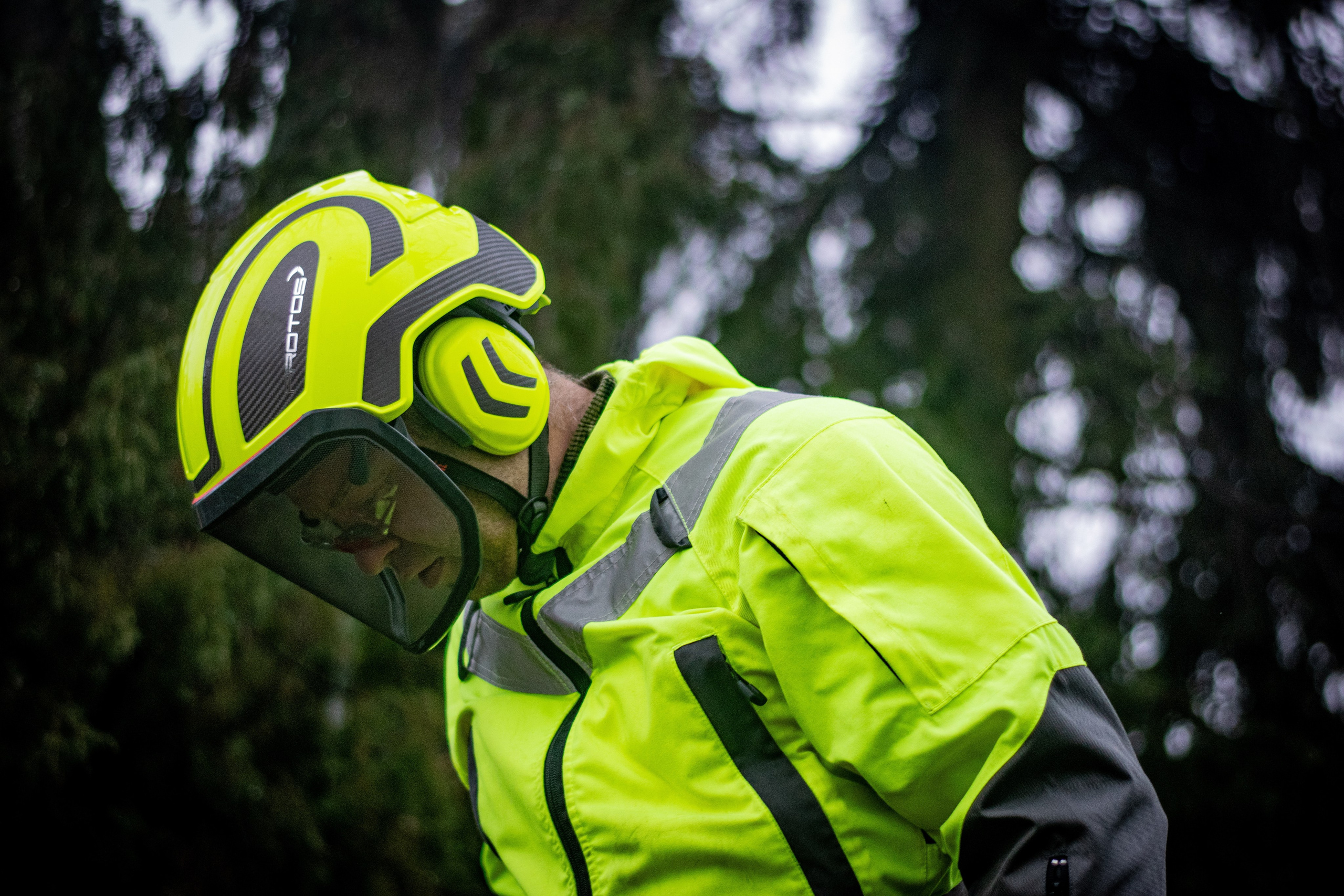 Спил деревьев. Аrbori Culturist