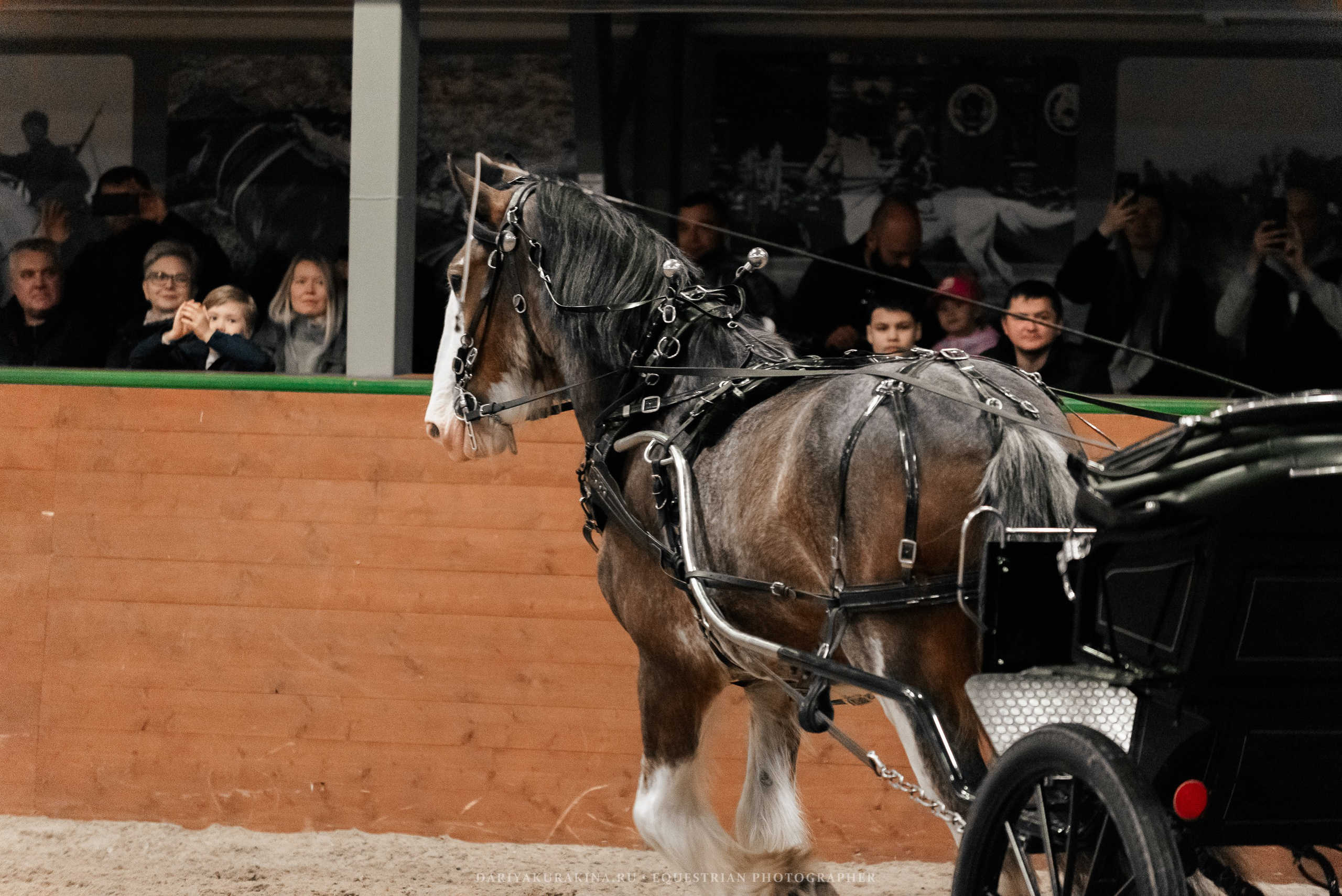 Конное представление «Дыхание Звёзд». Конный фотограф Куракина Дарья • Фотосессии с лошадьми