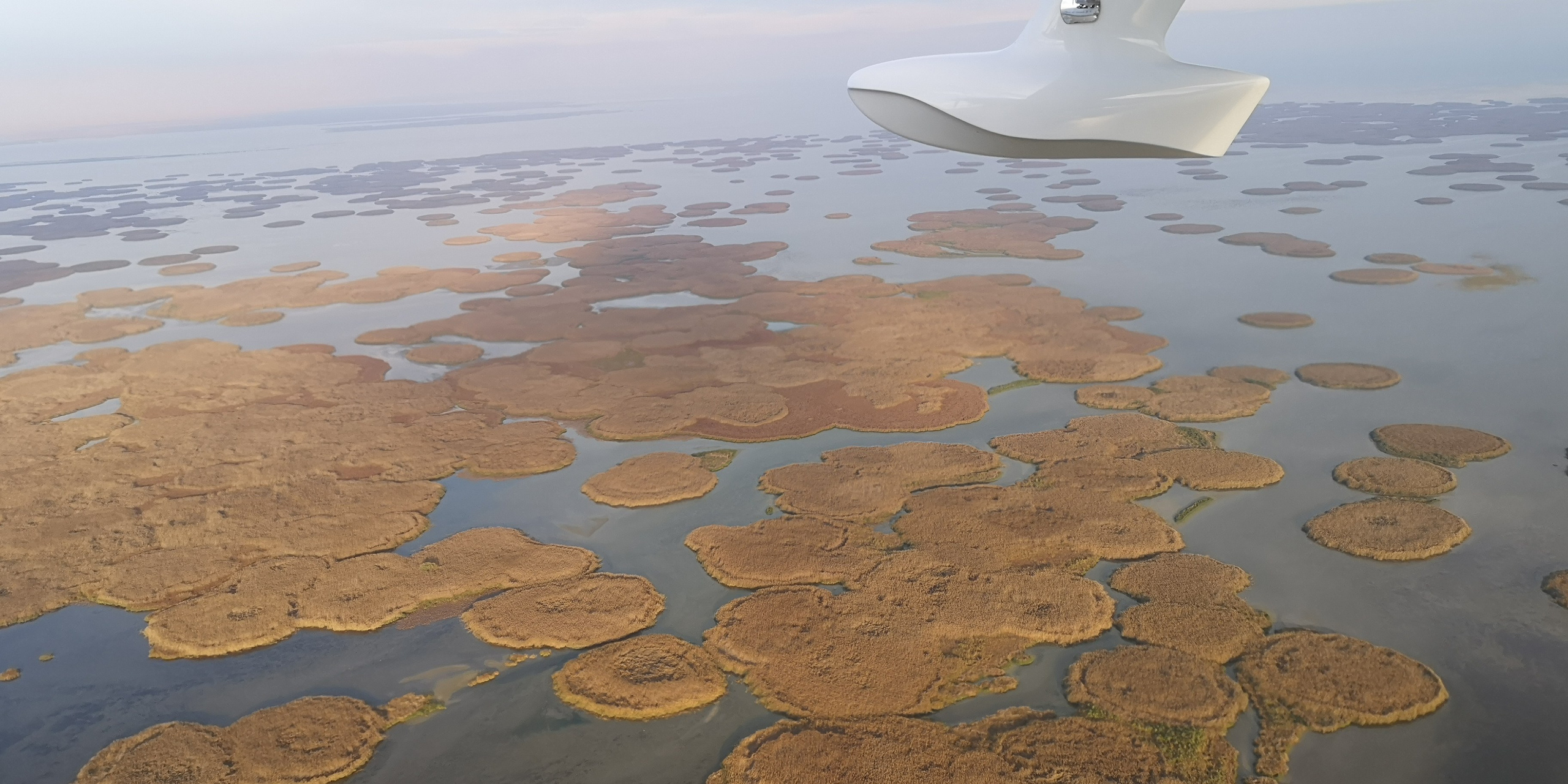 Каспийское море (наука на Ла-8) (2021 г.). Фотоальбом показывающий увлекательный мир авиации и мир медведей Андрея Иванова