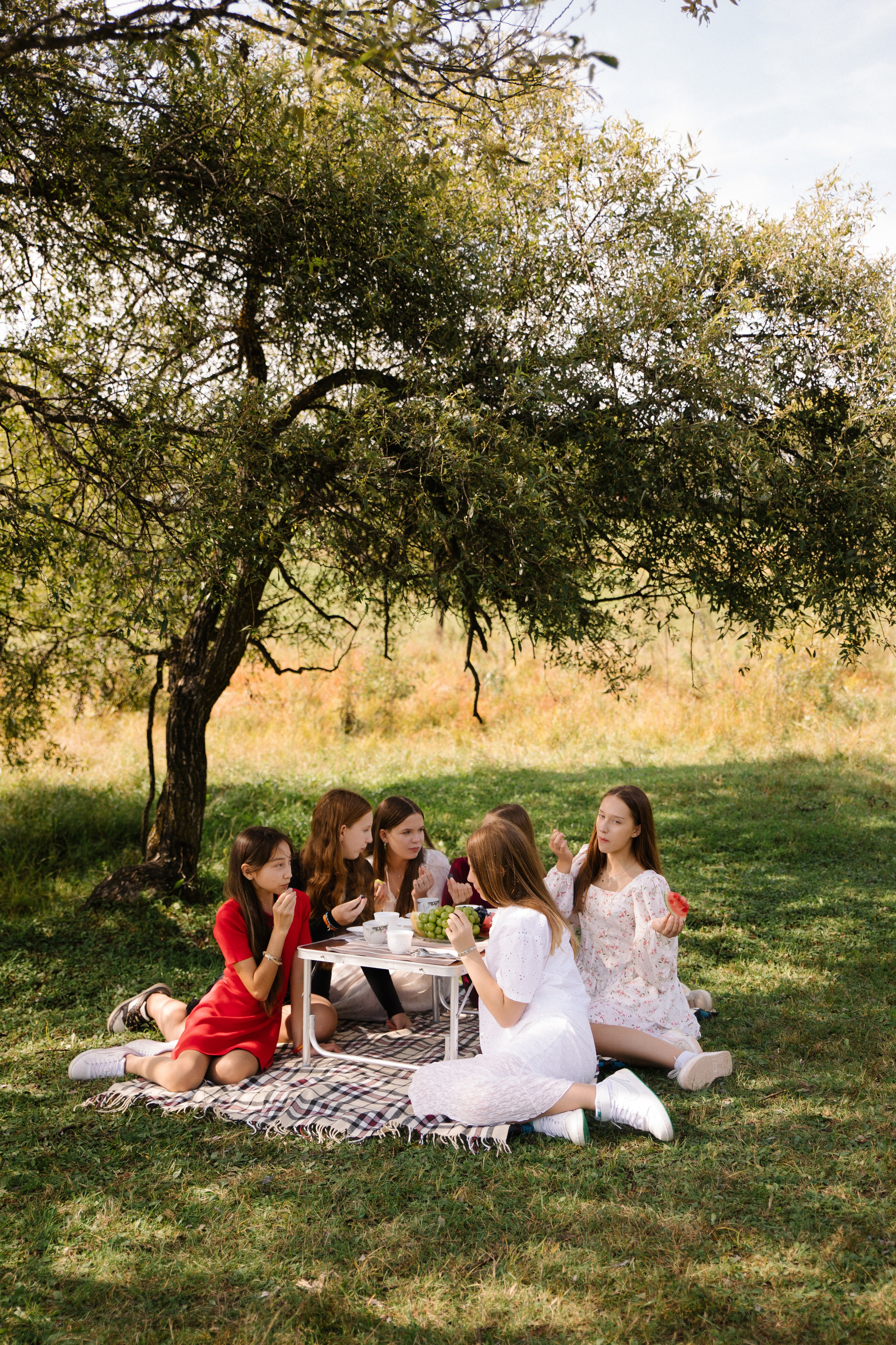 Пикник | День рождения Агаты. Darinishna Фэнтези-фотограф Хабаровск