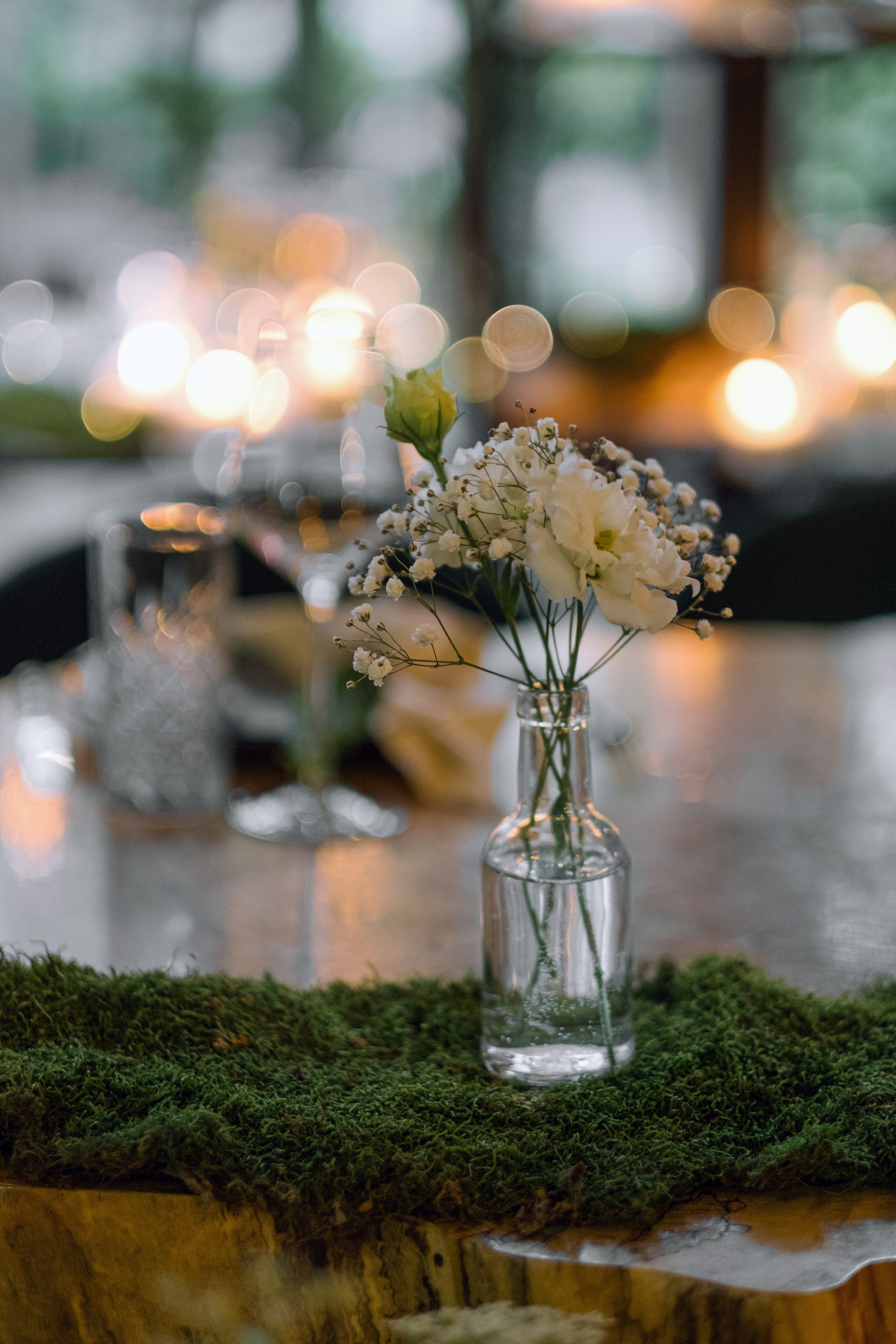 Кот и Дракон. Свадебный Видеограф Фотограф в Сочи