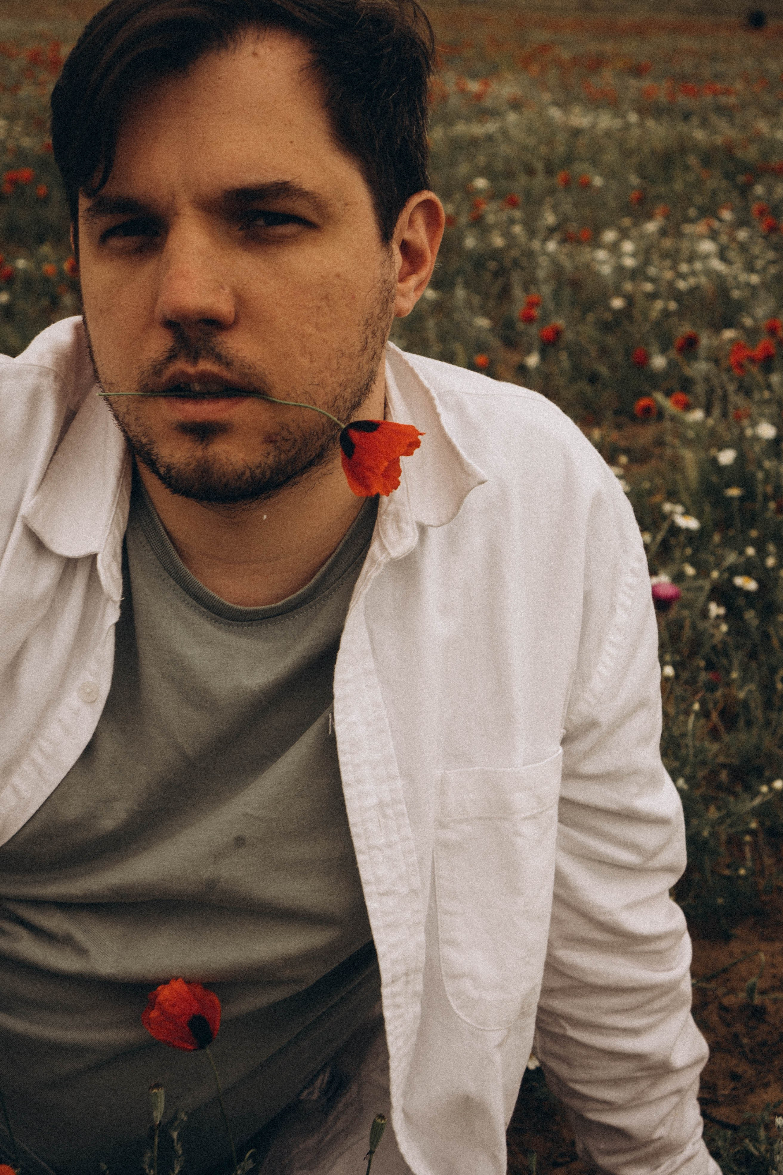 Маки. Профессиональный фотограф, Санкт-Петербург — Виктория Богомолова