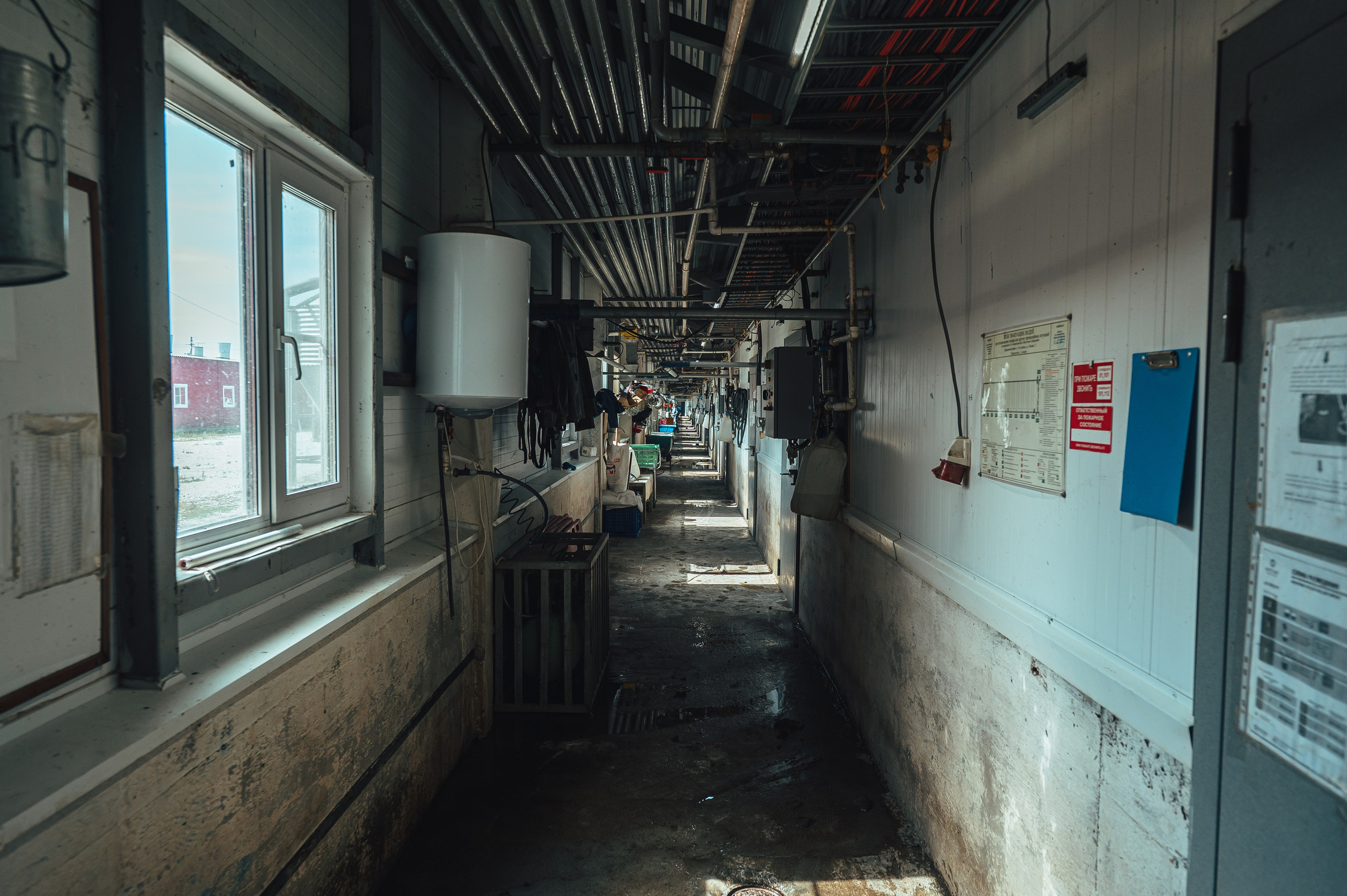 Свинокомплекс «СИБАГРО». Свадебная и концептуальная фотография в городе Улан-Удэ