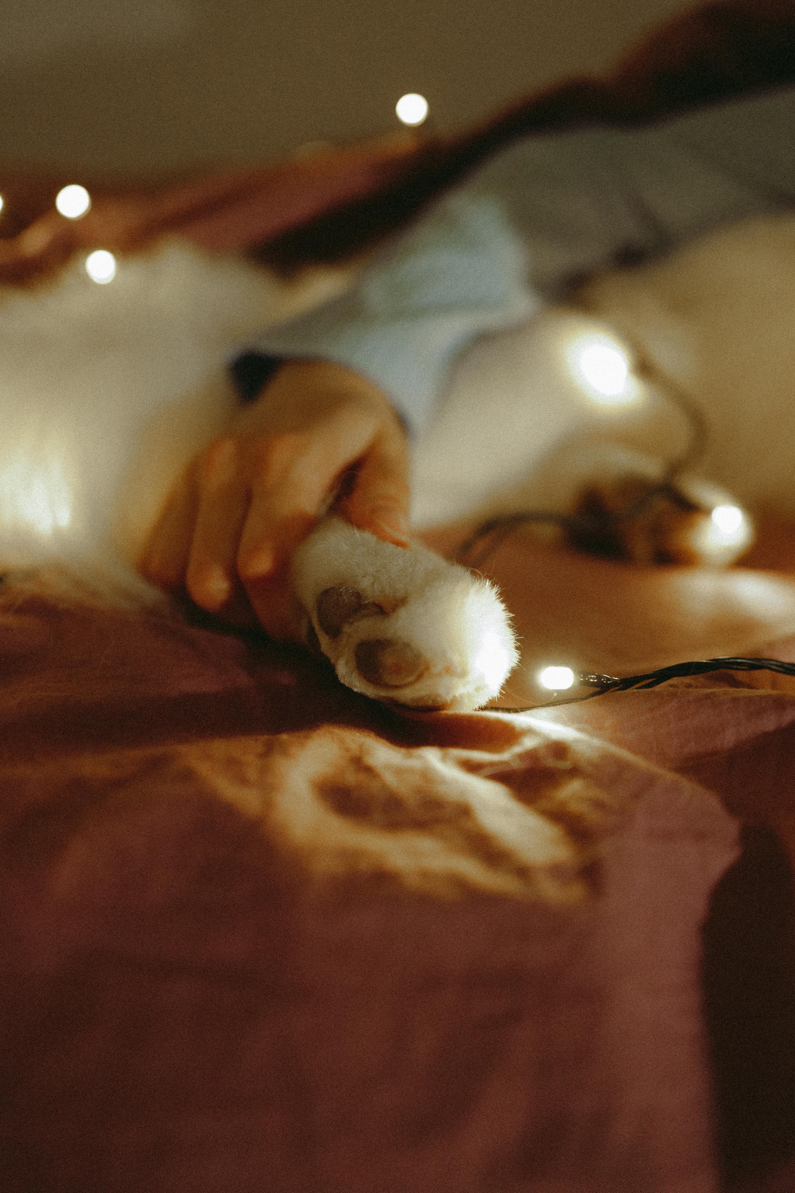 Katya and Fiona. Фотограф Евгения Добротворская