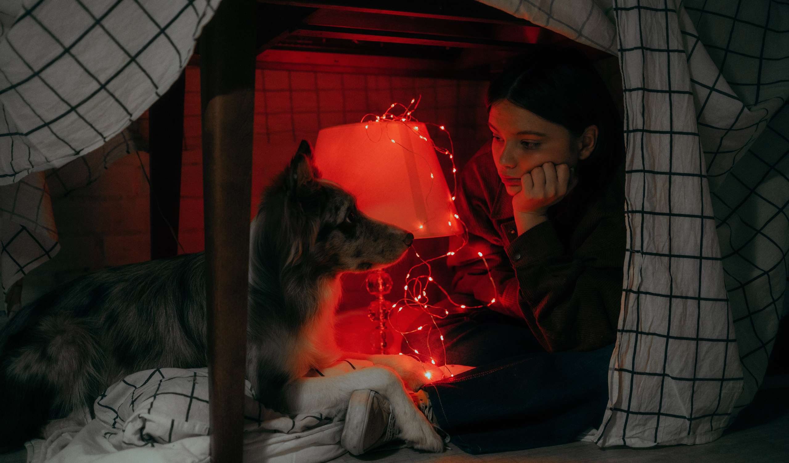 Аня и Дэймон. Фотограф-анималист Богданова Полина