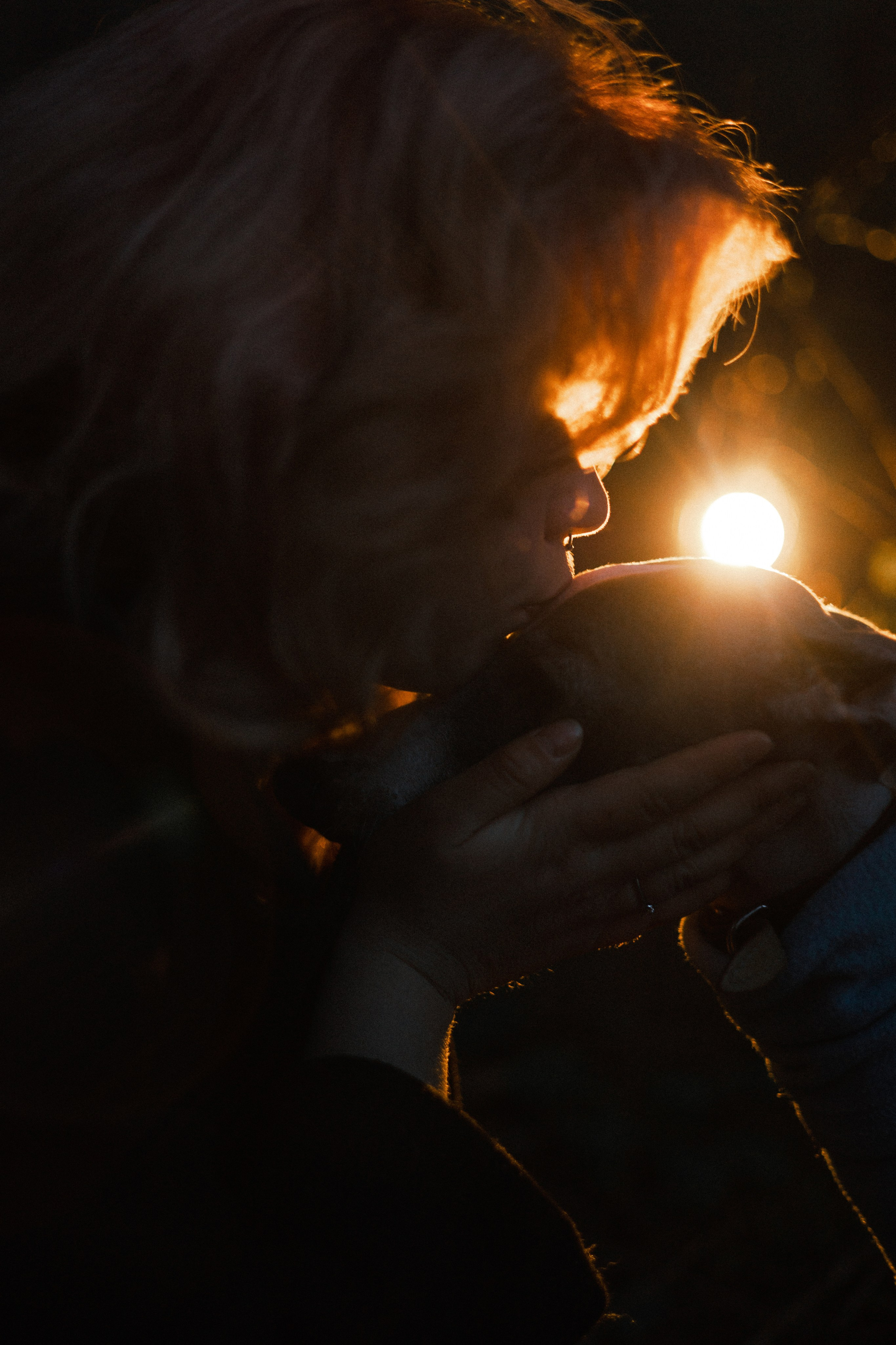 Вика, Джем и Белла. Фотограф-анималист Богданова Полина