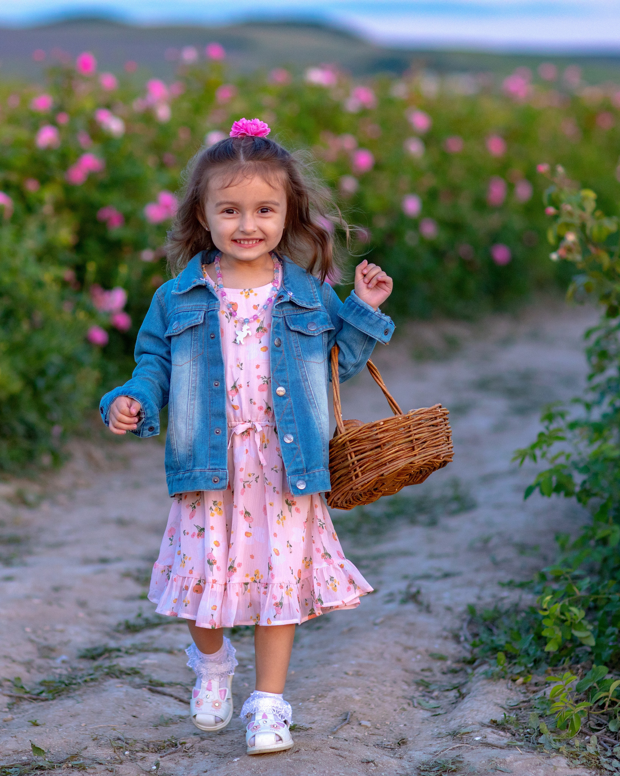 Чайная роза. Фотограф Севастополь/Крым Светлана Евтушенко