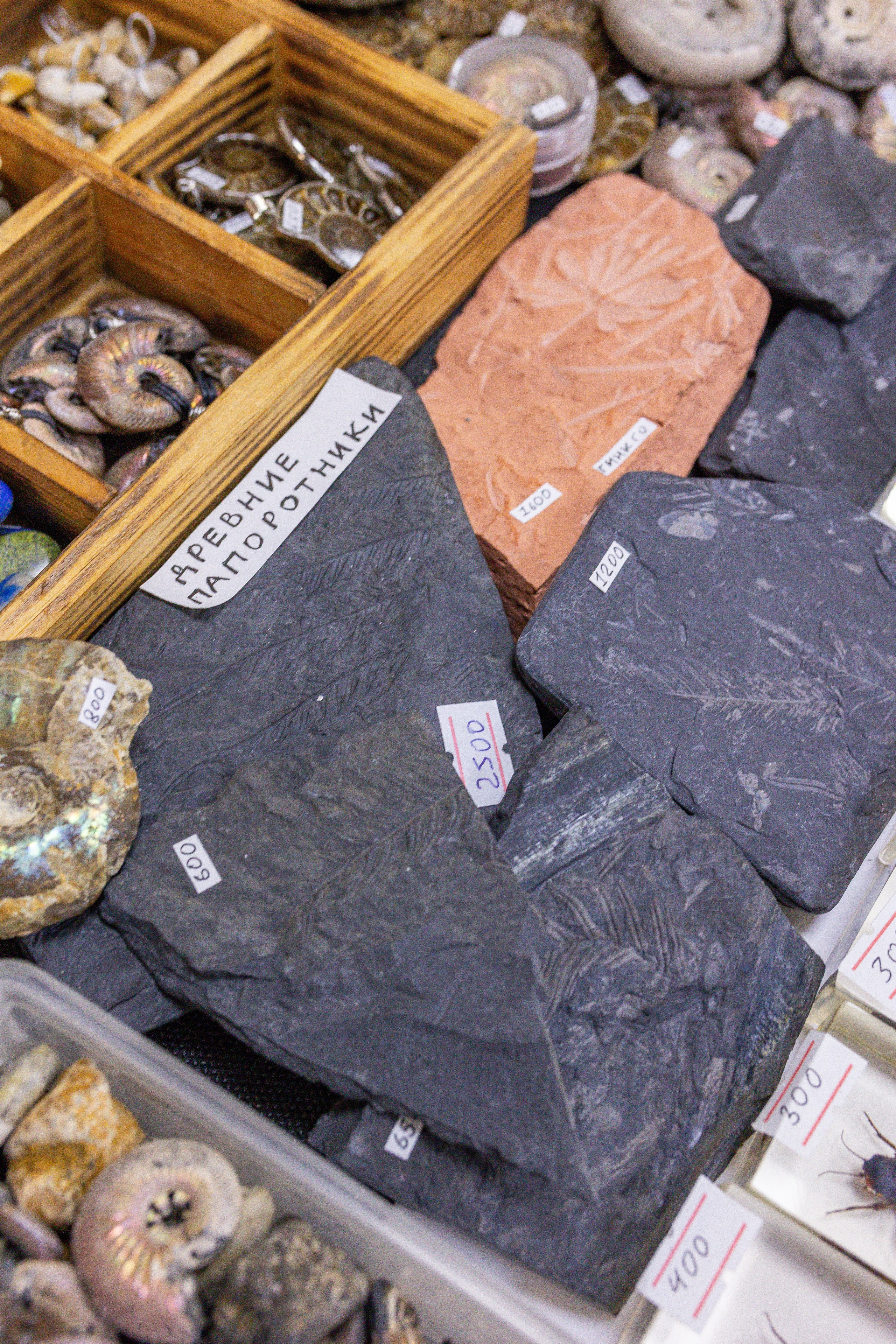 Монстериум апрель 2025. Александра Куликова фотограф, Москва