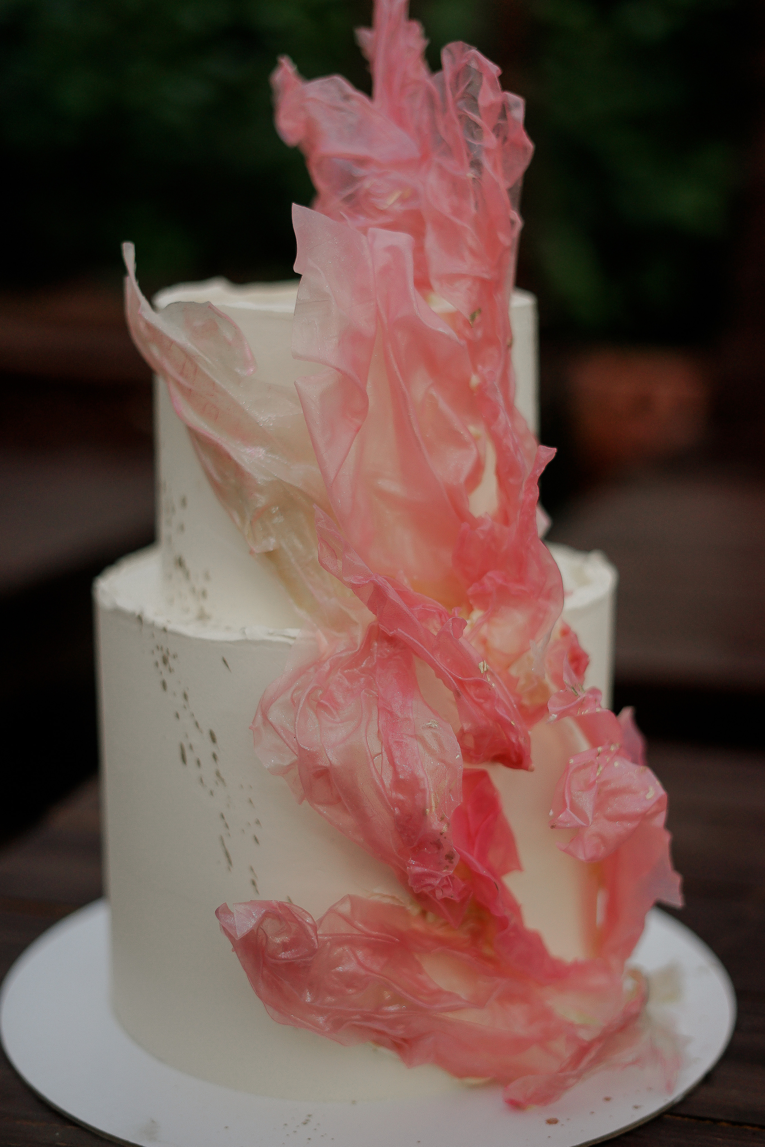 Анастасия и Иван. Country club Polyana. Свадебный фотограф Марина Попова