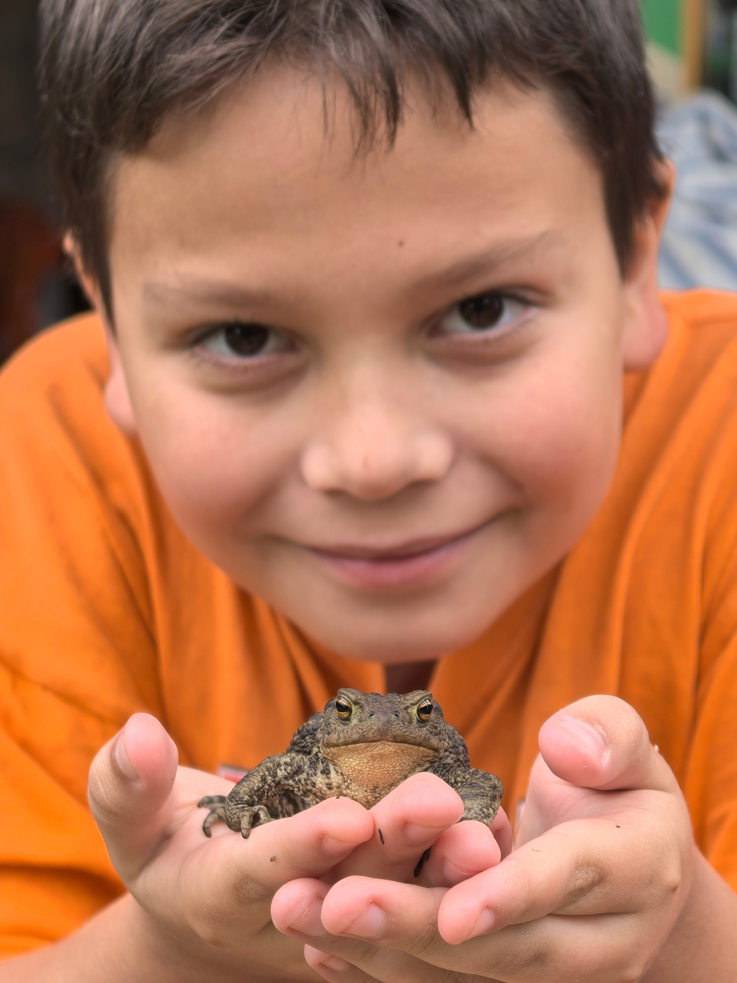 Чудесная природа. Школьные выпускные альбомы в Москве Марина Николаева