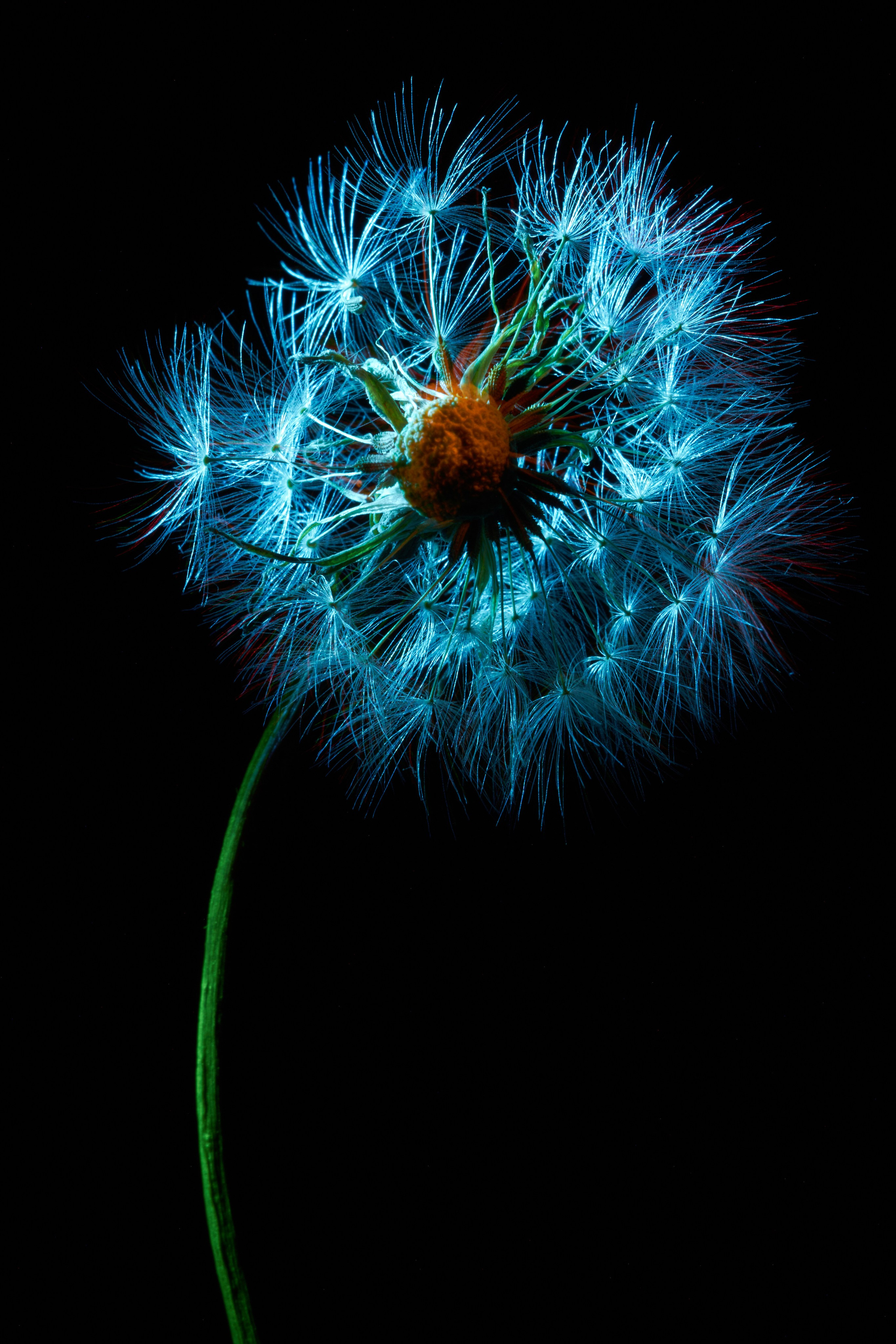 «Красок Тьма Полна». Арт-фотограф во Владивостоке Дмитрий Осипчук