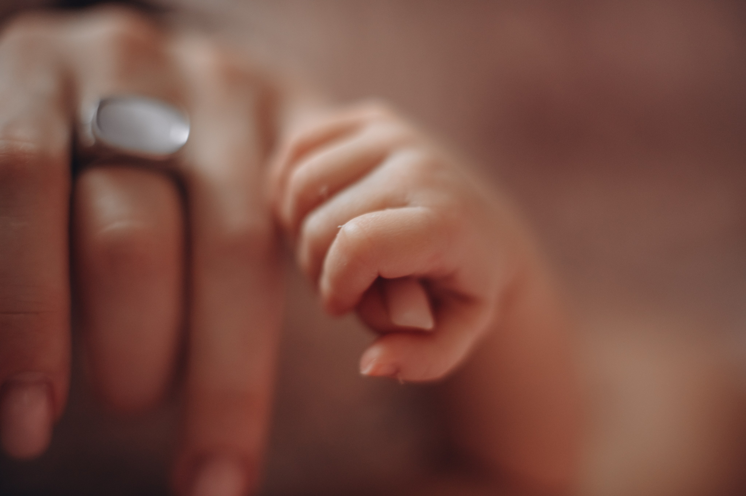 Эмили. Семьи