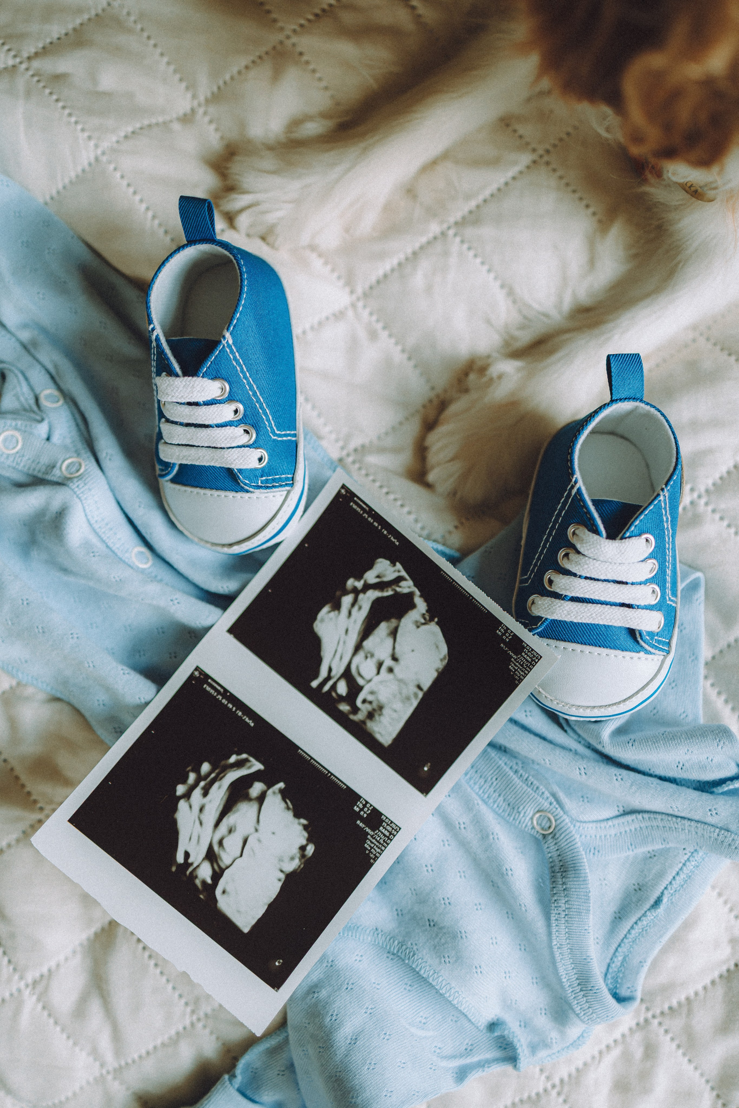 Валя, Вася, Аня и Ириска