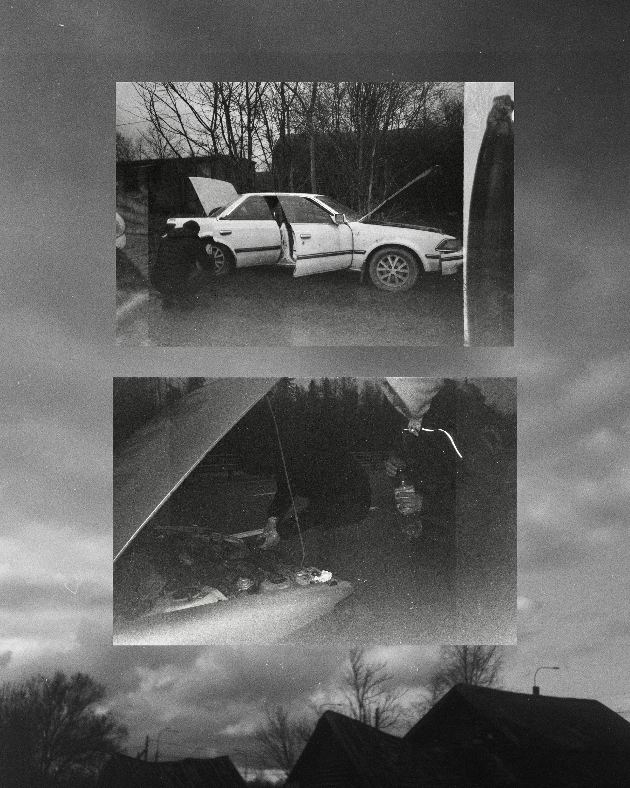 Пленка. Фотограф Синицына Анна