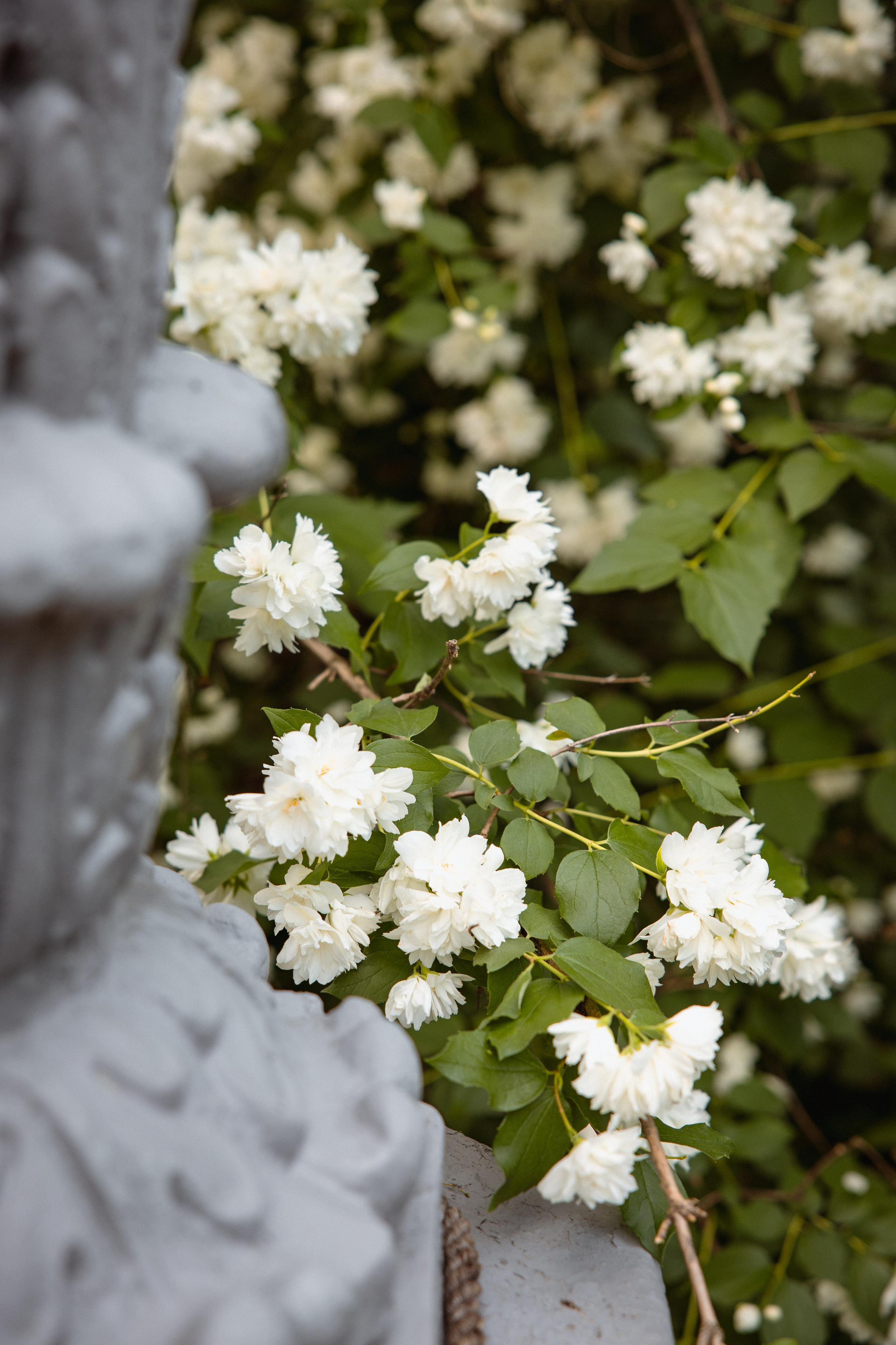 Настя с сыном у Alma-Mater. Ваш семейный newborn и lifestyle фотограф в СПБ Наталья Журавлева