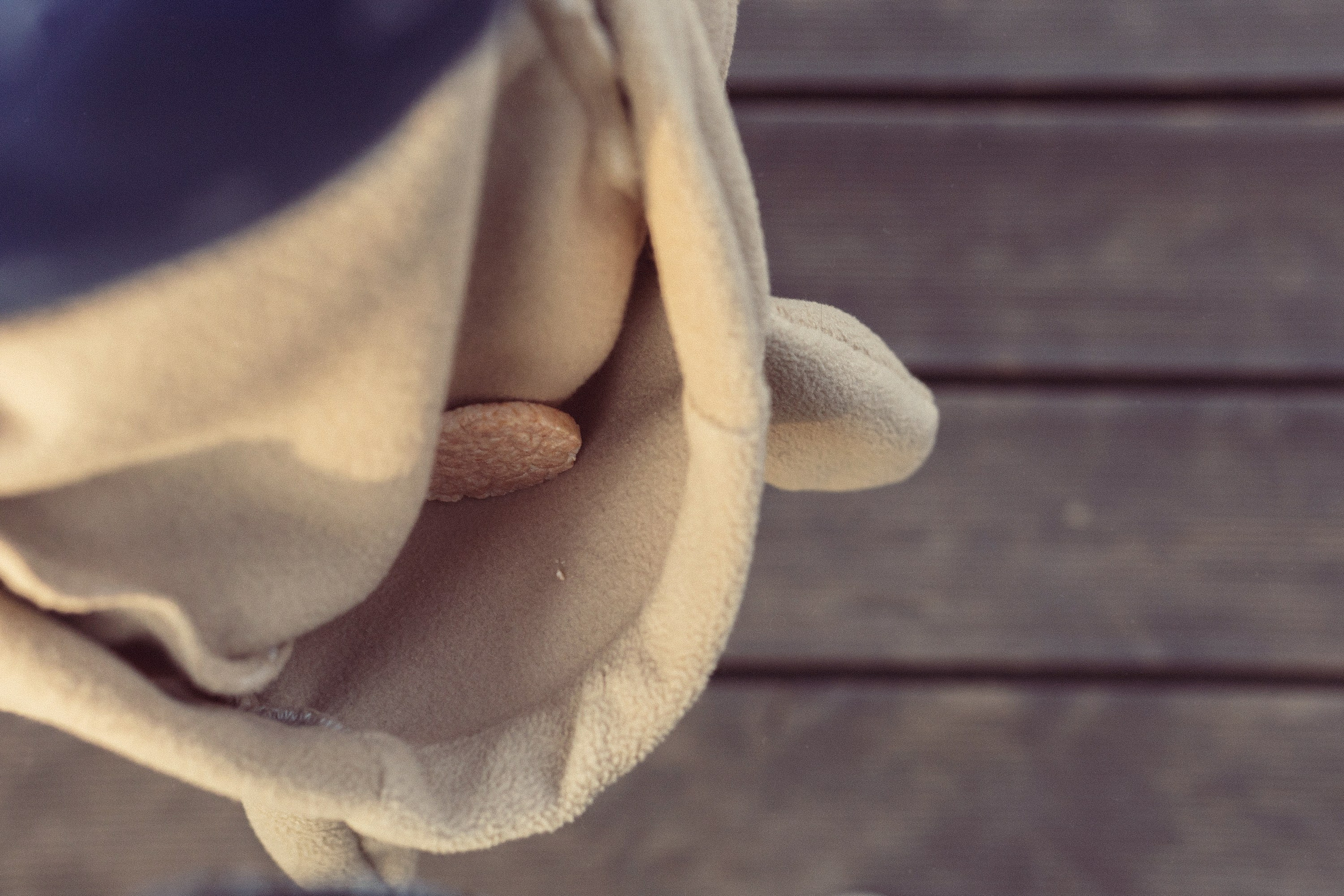 Один солнечный день в Алматы. Фотограф Наталья Гончарова. Снимаю живые портреты в Алматы