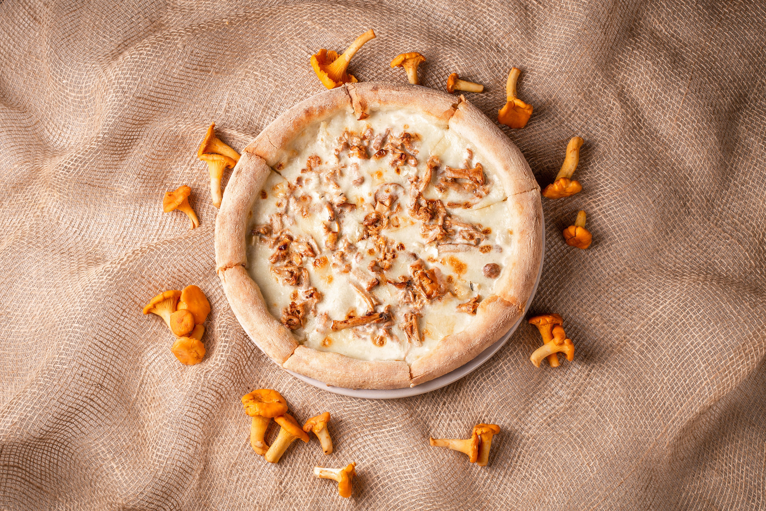 Лисички. Дмитрий Акимов фотограф в Санкт-Петербург