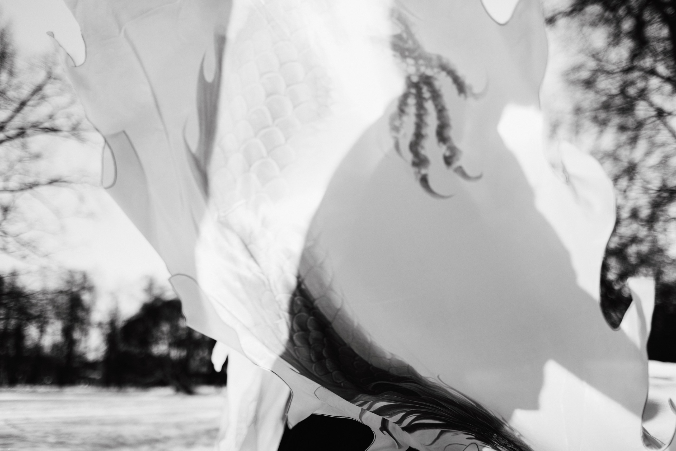 Женский портрет. Портретный и свадебный фотограф в Пушкине и Санкт-Петербурге