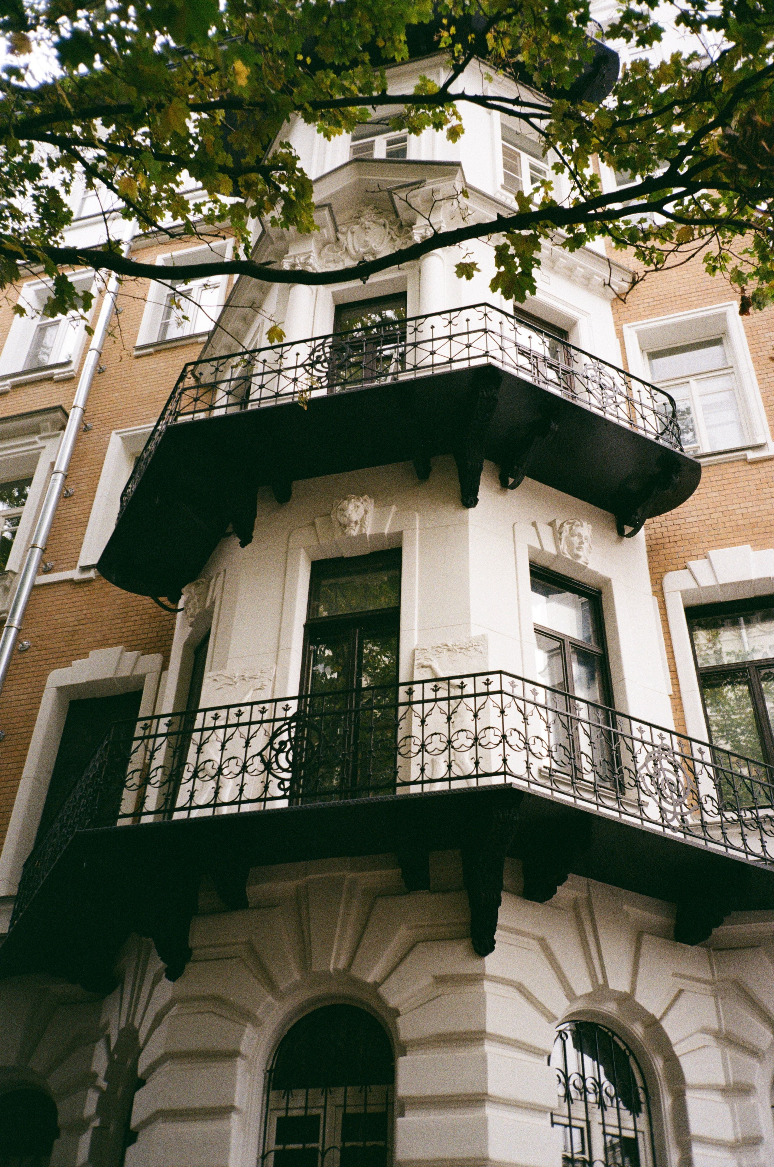 Grain. Artem Khusainov