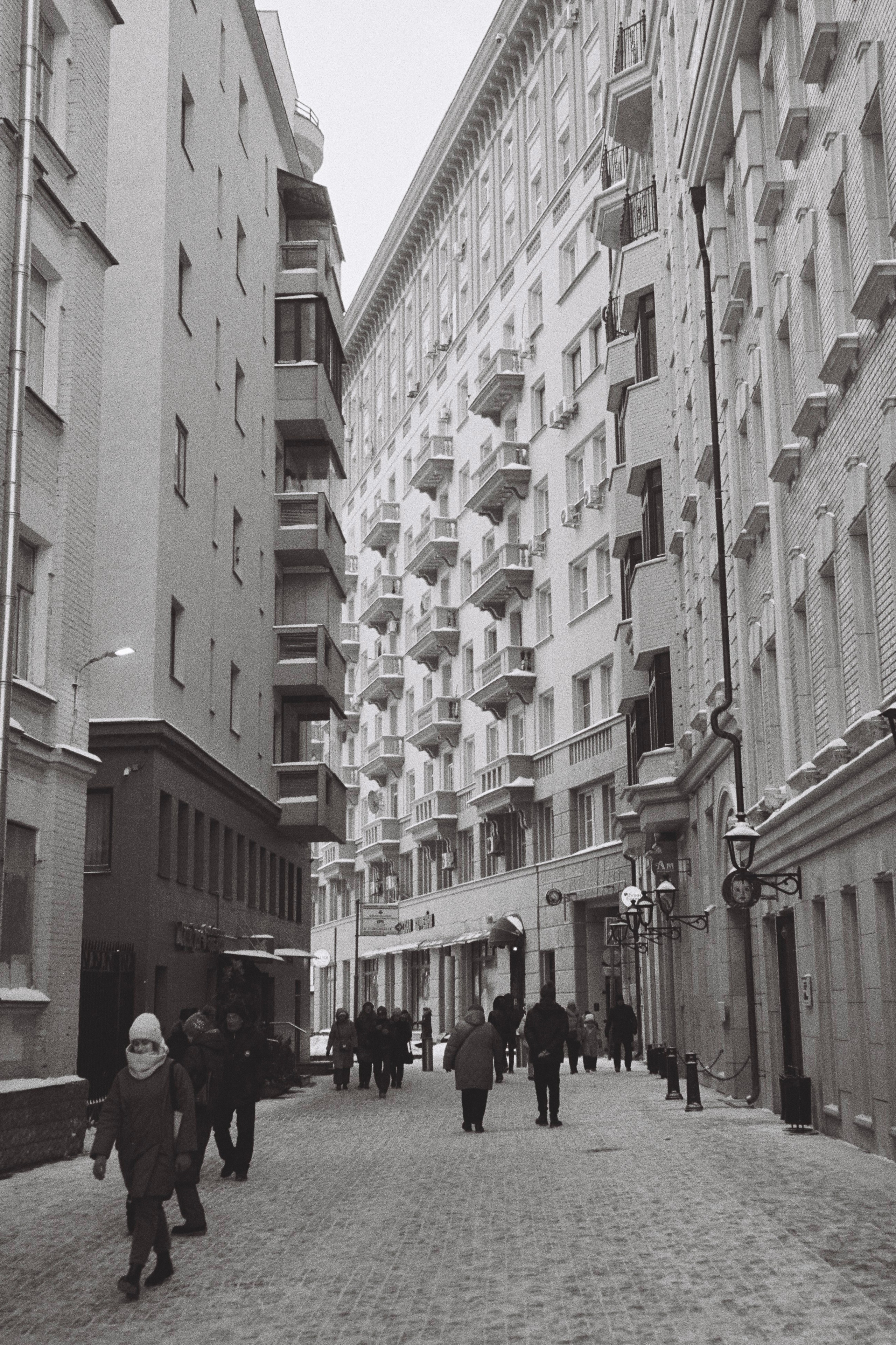 Grain. Artem Khusainov