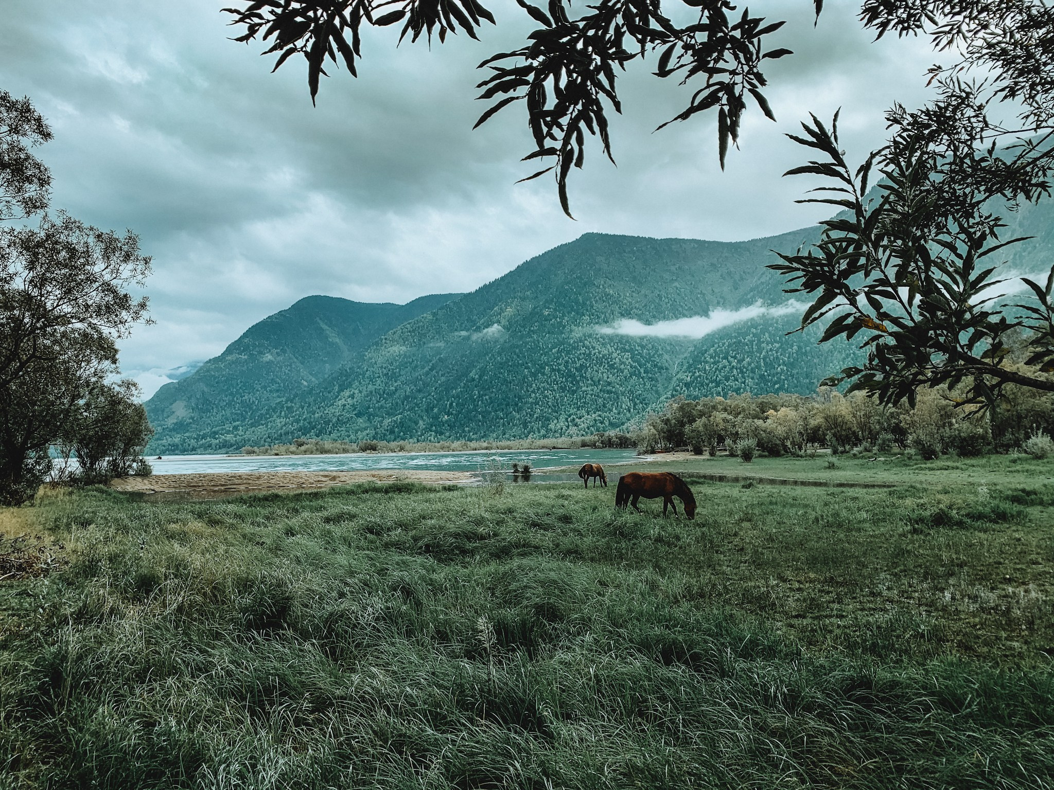 Алтай (мобилография). Фотограф в Москве, в Самаре Инна Мамонова