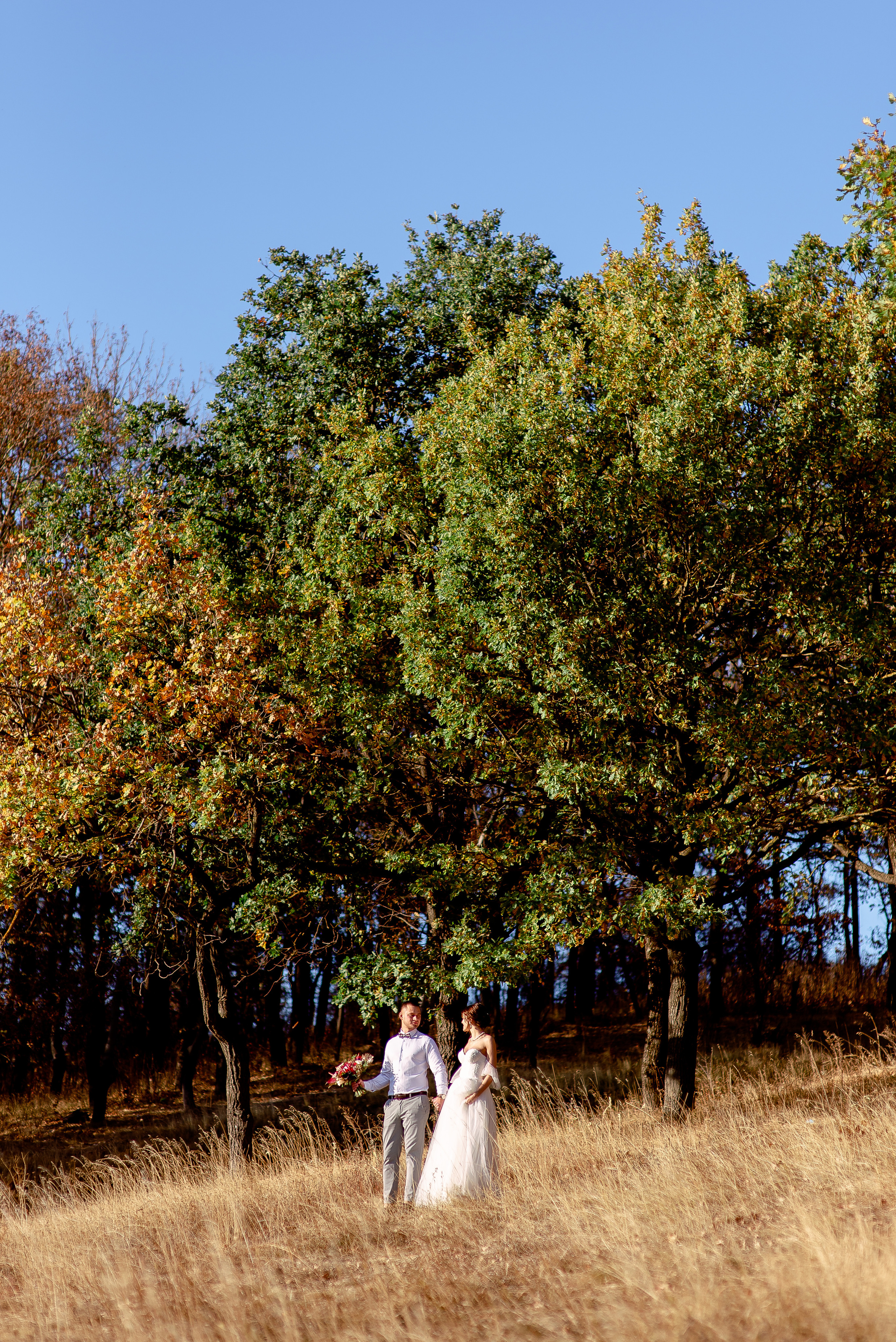 Антон и Елена. Свадебный фотограф в Белгороде Косилов Денис