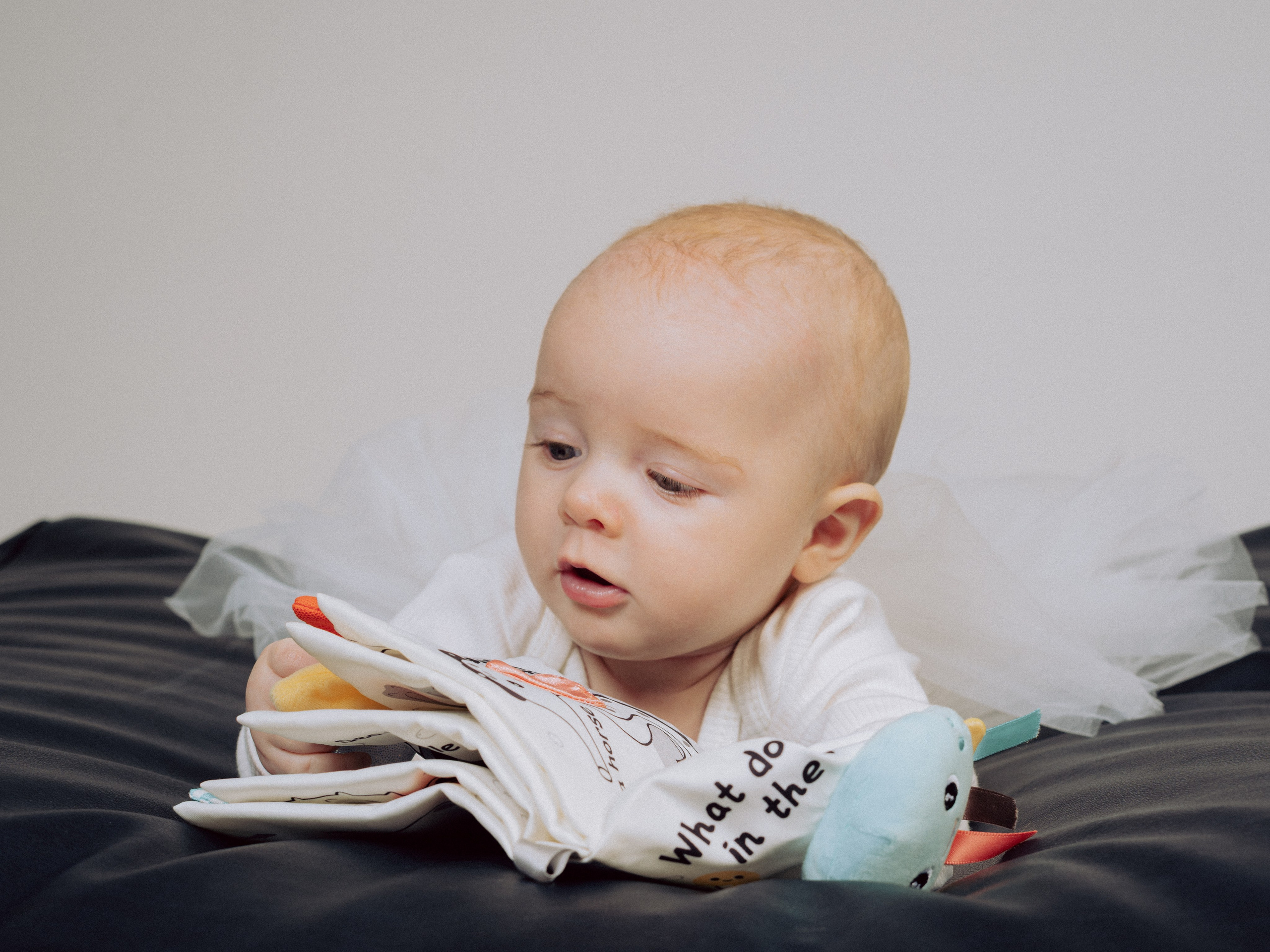 Их уже пятерооооо. Фотограф в Москве Шалышко Ангелина