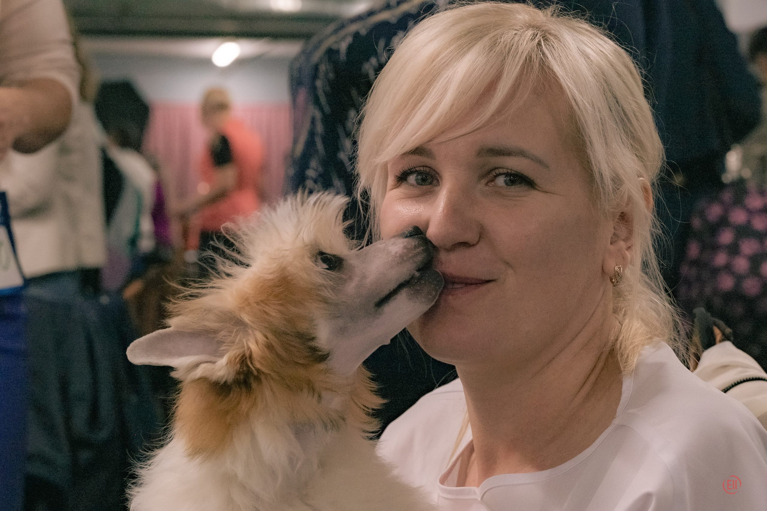 Национальная выставка китайских хохлатых собак 2023. Питомник китайских хохлатых собак Poale Ell: купить щенка