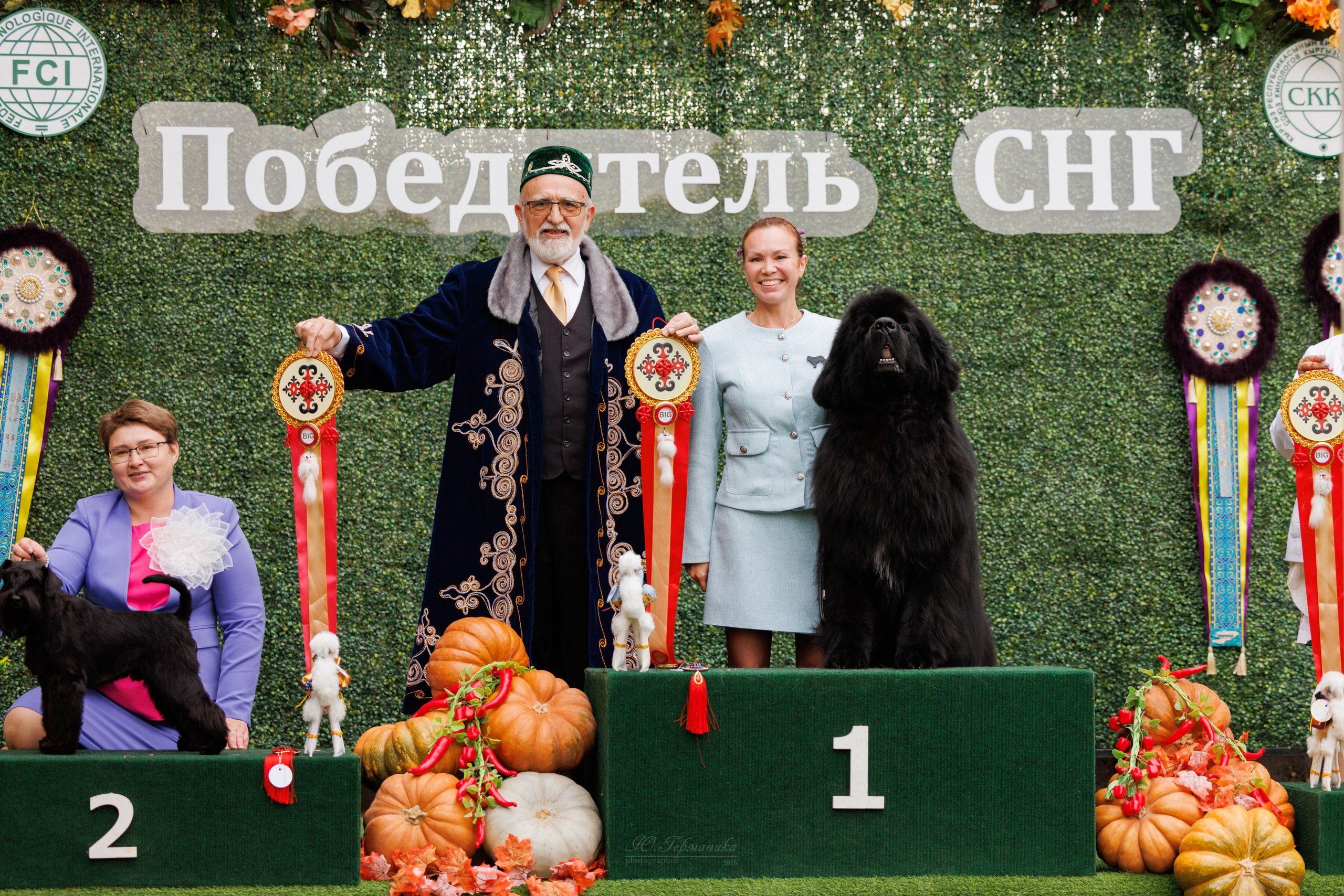 Бишкек 3х CACIB 26-28.09.2025. Фотограф-анималист Юлия Германика