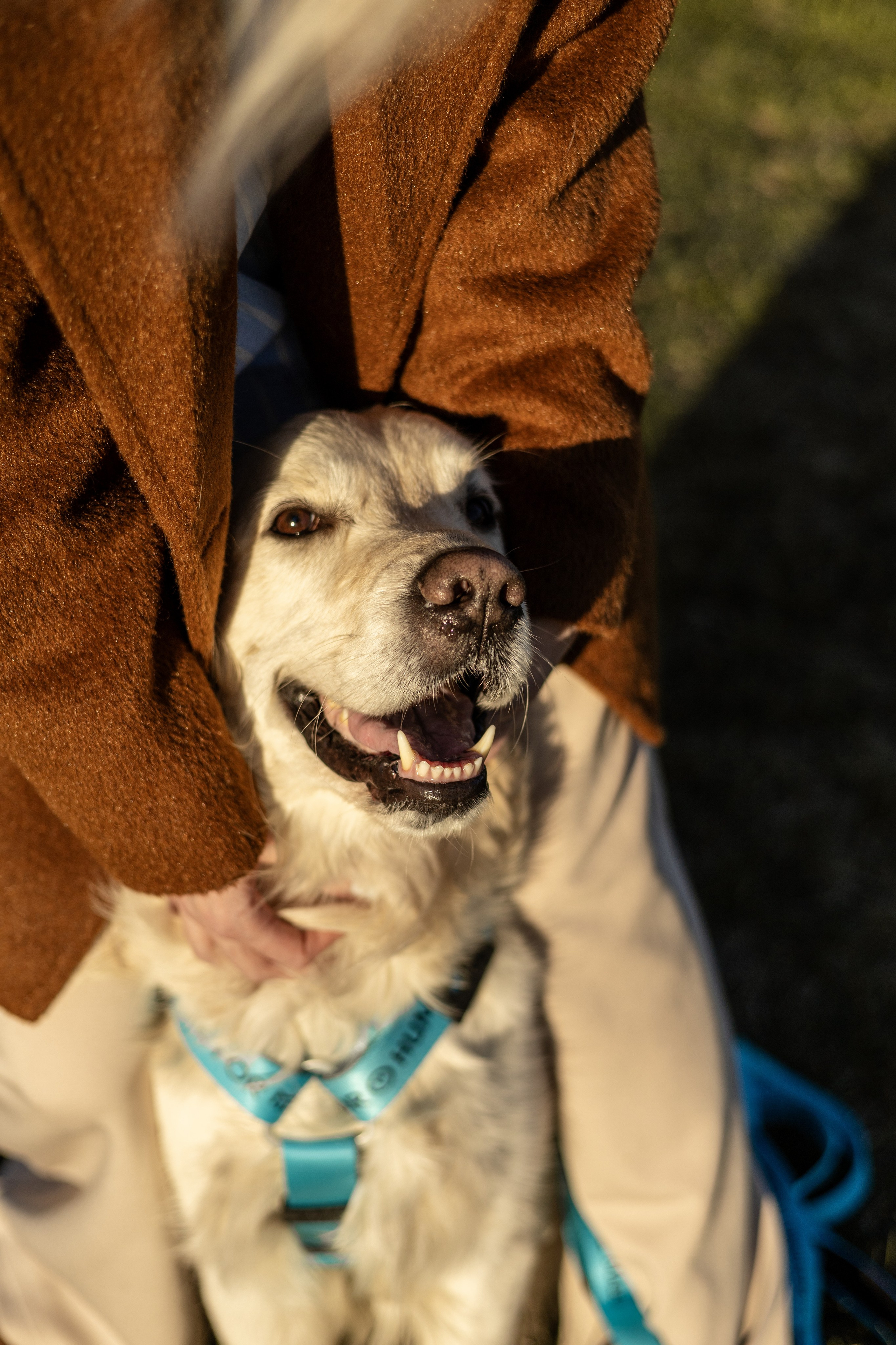 Зиз и Юля. Часть 2. Фотограф-анималист Ксения Шевцова|Москва