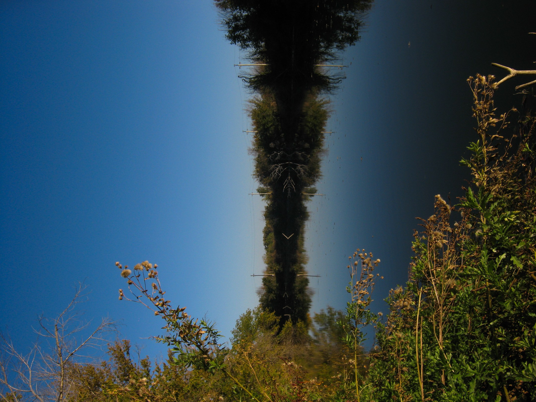 И вокруг меня. Портретный и концертный фотограф в Санкт-Петербурге Егор Телятников