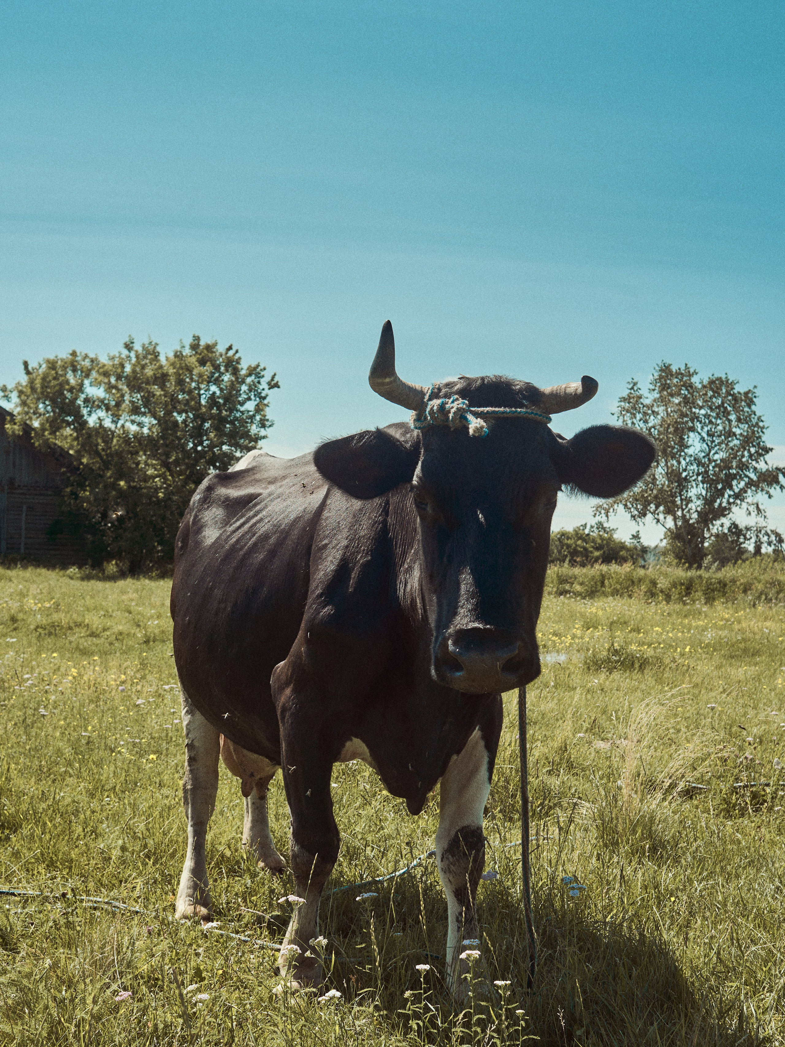 2024. Марфин. Фотограф