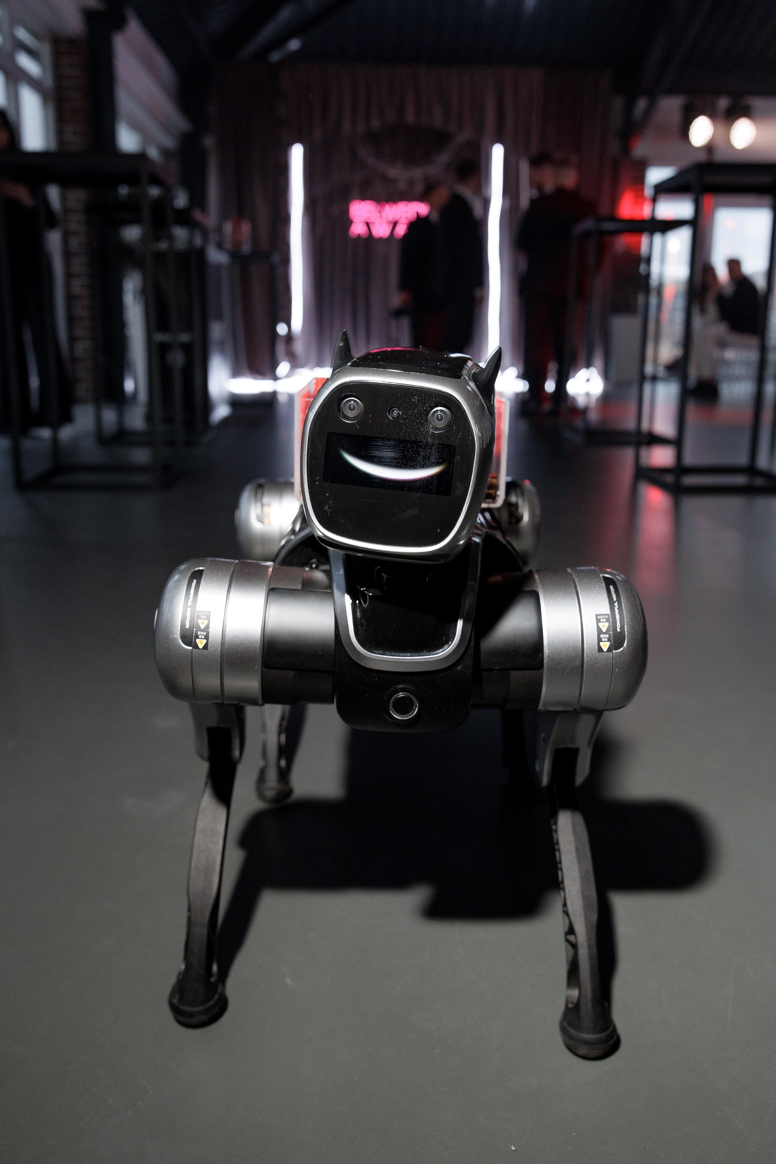 BELWEDDING AWARDS. Свадебный фотограф Каледич Тимофей