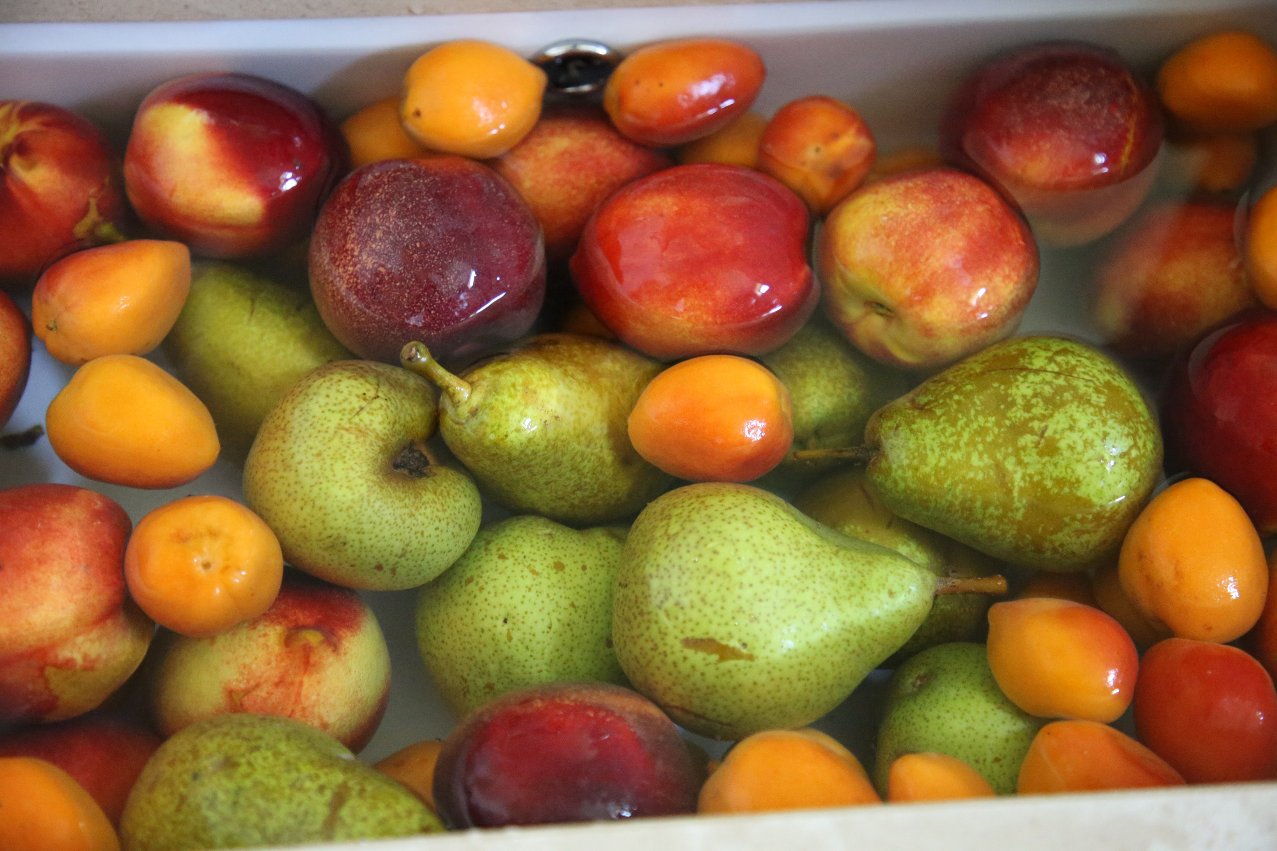 Esmoriz, Portugal. Andrey Filippov Photographer